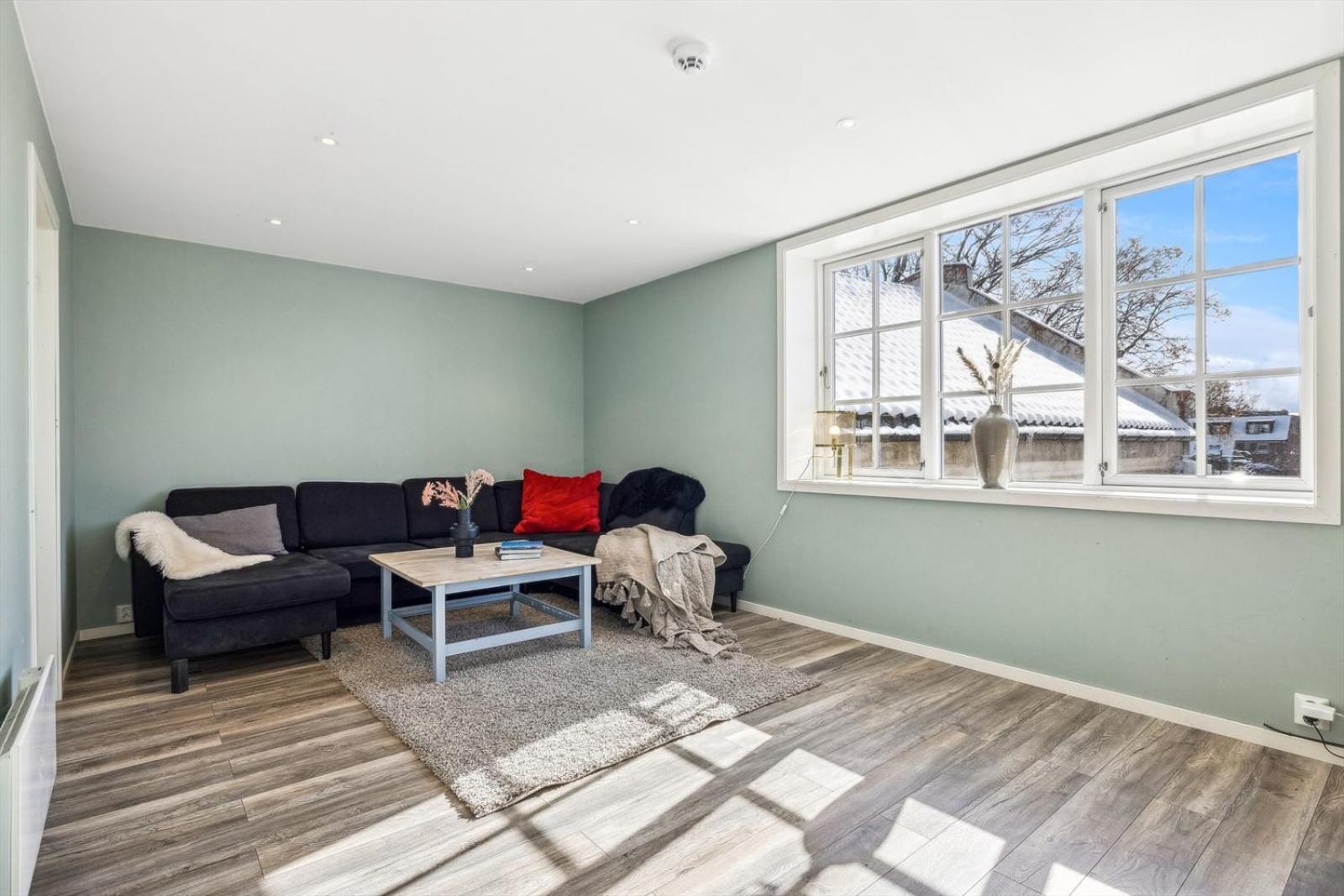 Stor & moderne leilighet i kanten av Skien Sentrum view 2