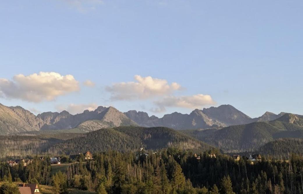 Apartament Zakopane Willa Hrube parter z tarasem i kominkiem view 2