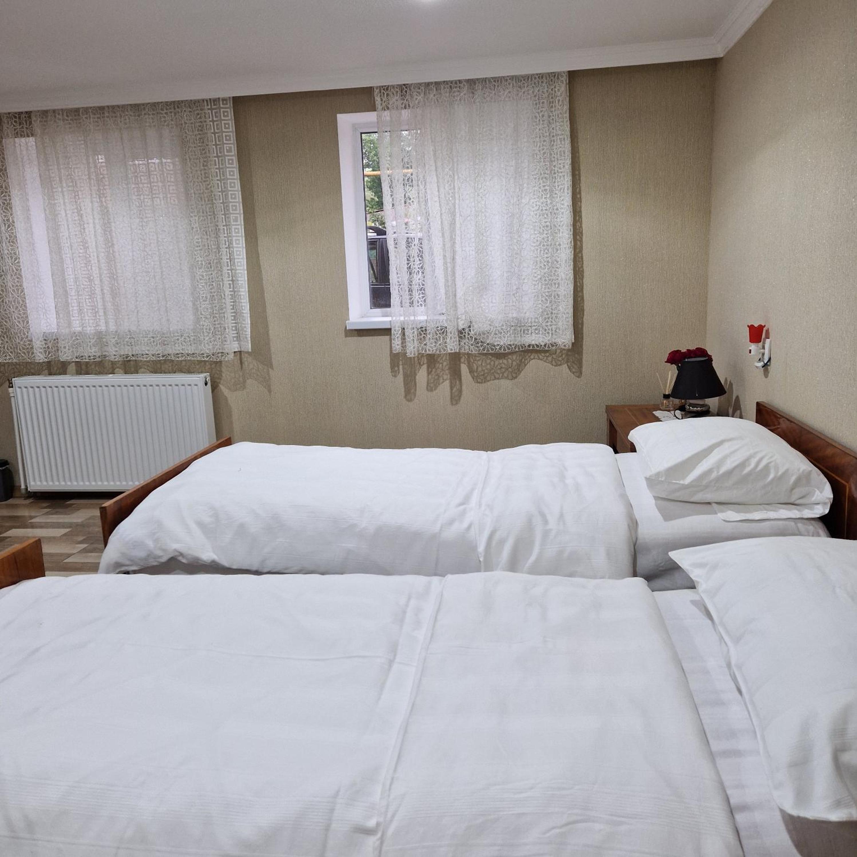 Colchis Guest House view 4
