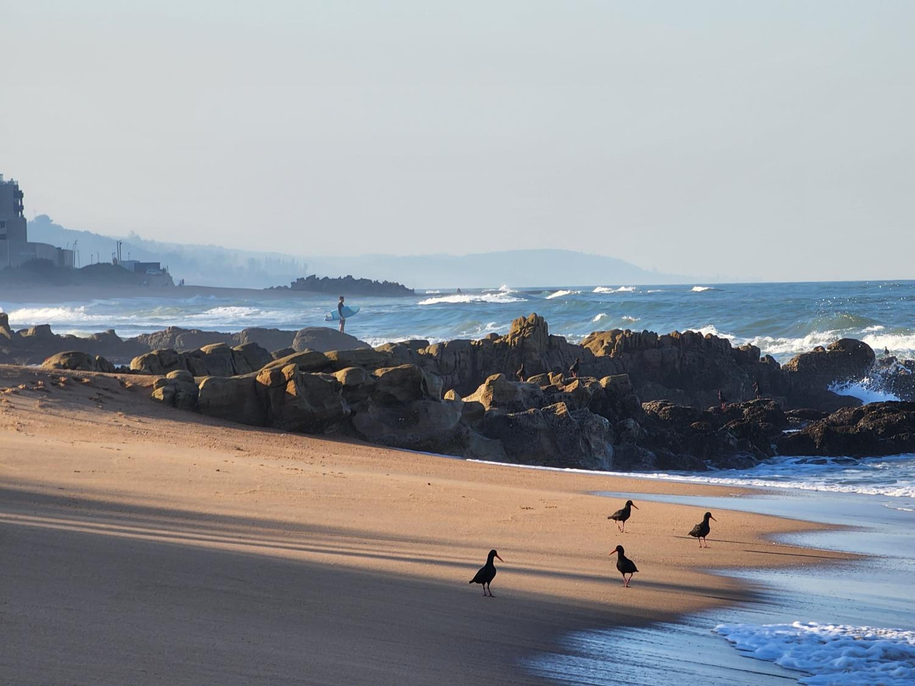 809 Umdloti Beach Resort
