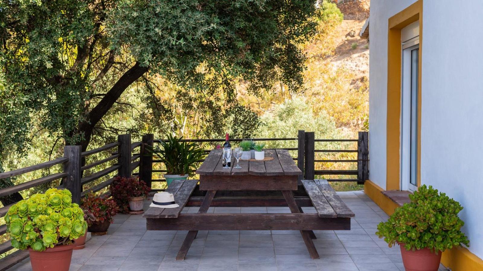 balance & terrace