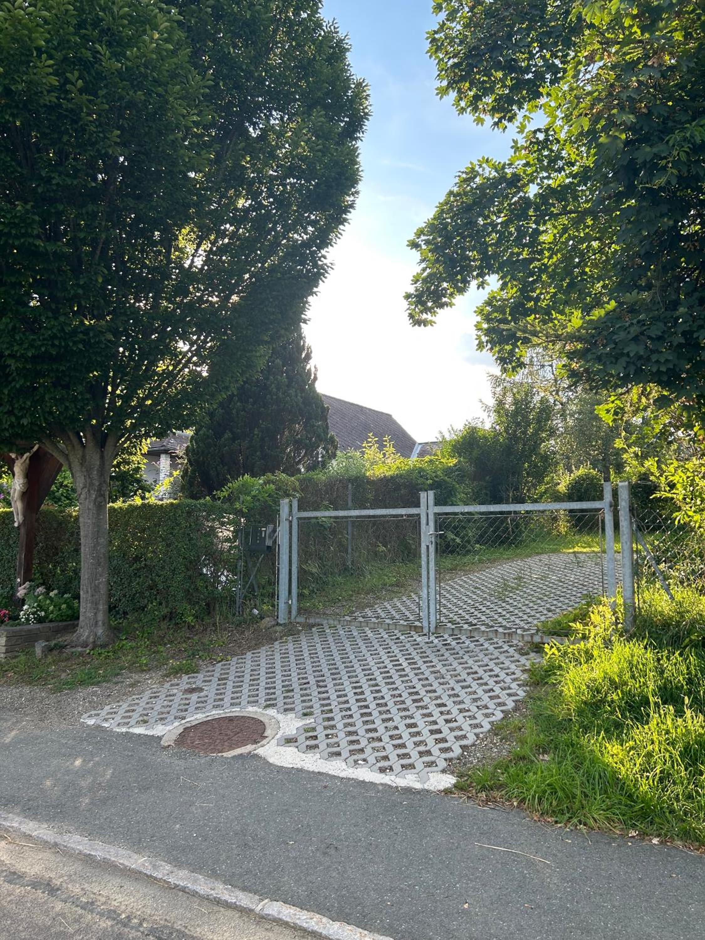 Photo 41