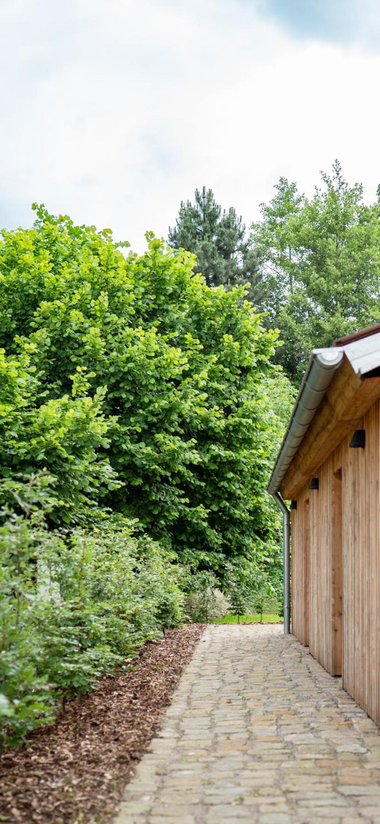 AMTENBRINKSHOF Appartements