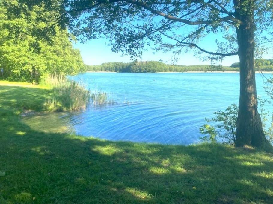 Sonniges Ferienhaus am Zenssee