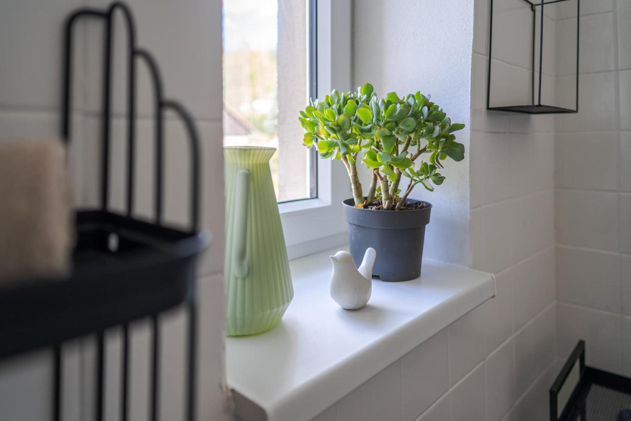 Velký apartmán V Pralese Šumava