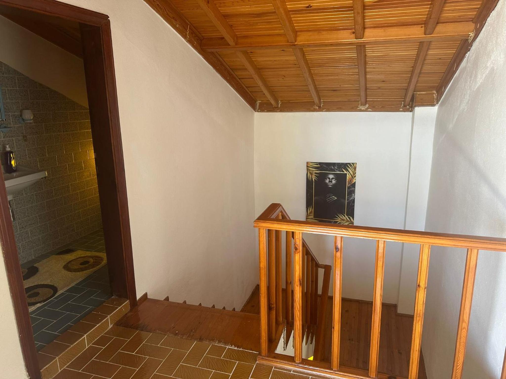 villa magnolia