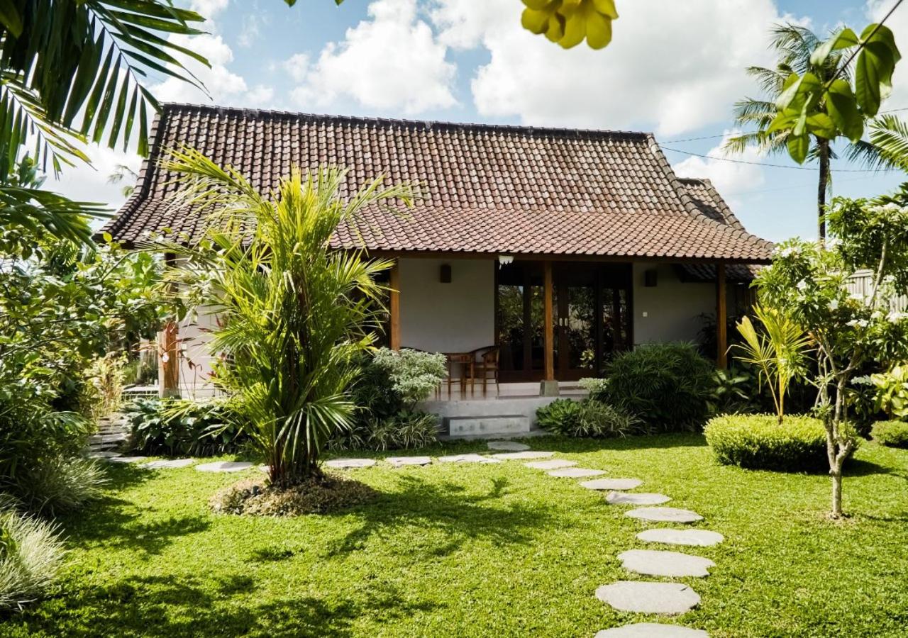 Green Coconut Cottage view 2