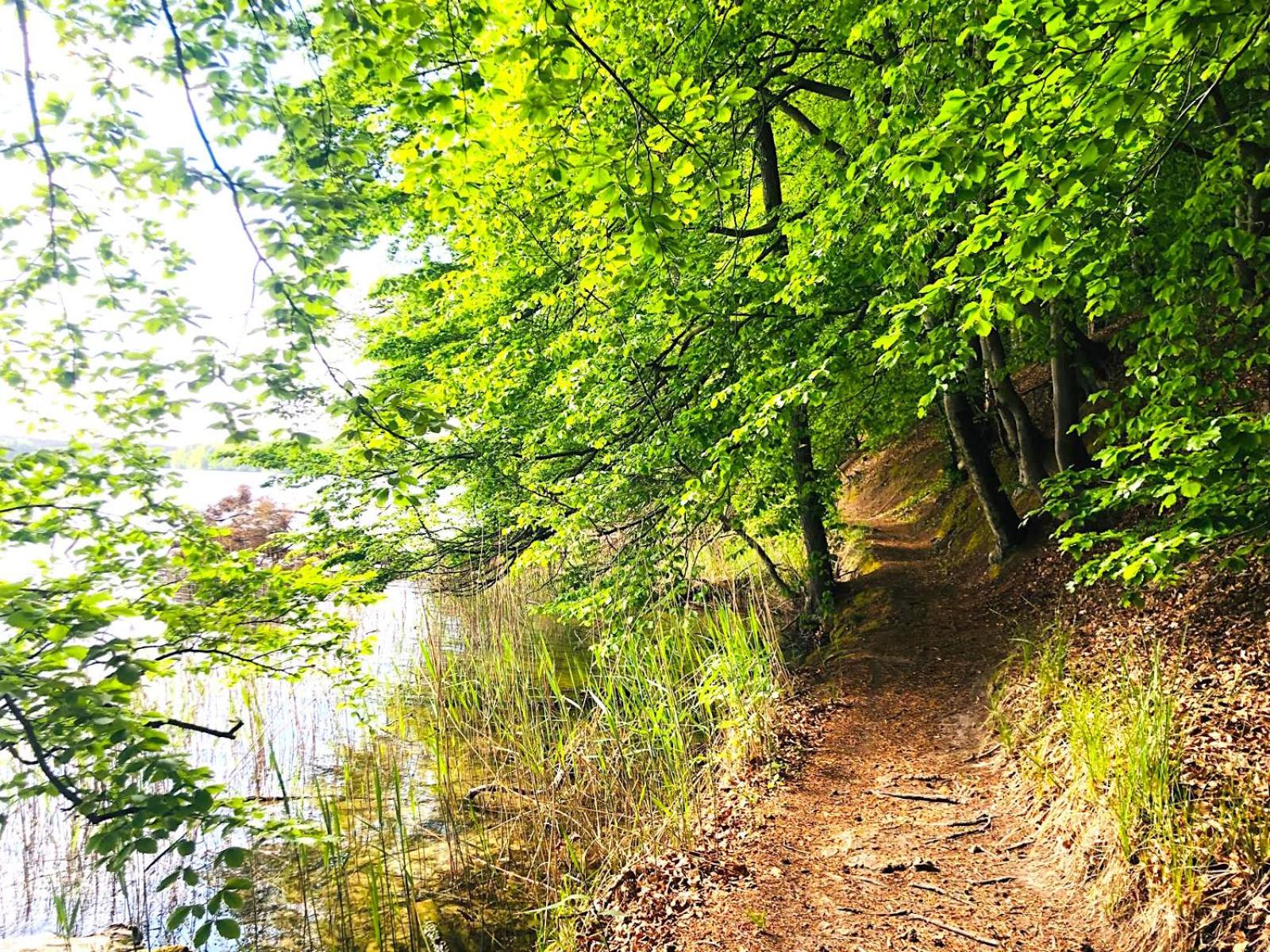 Sonniges Ferienhaus am Zenssee
