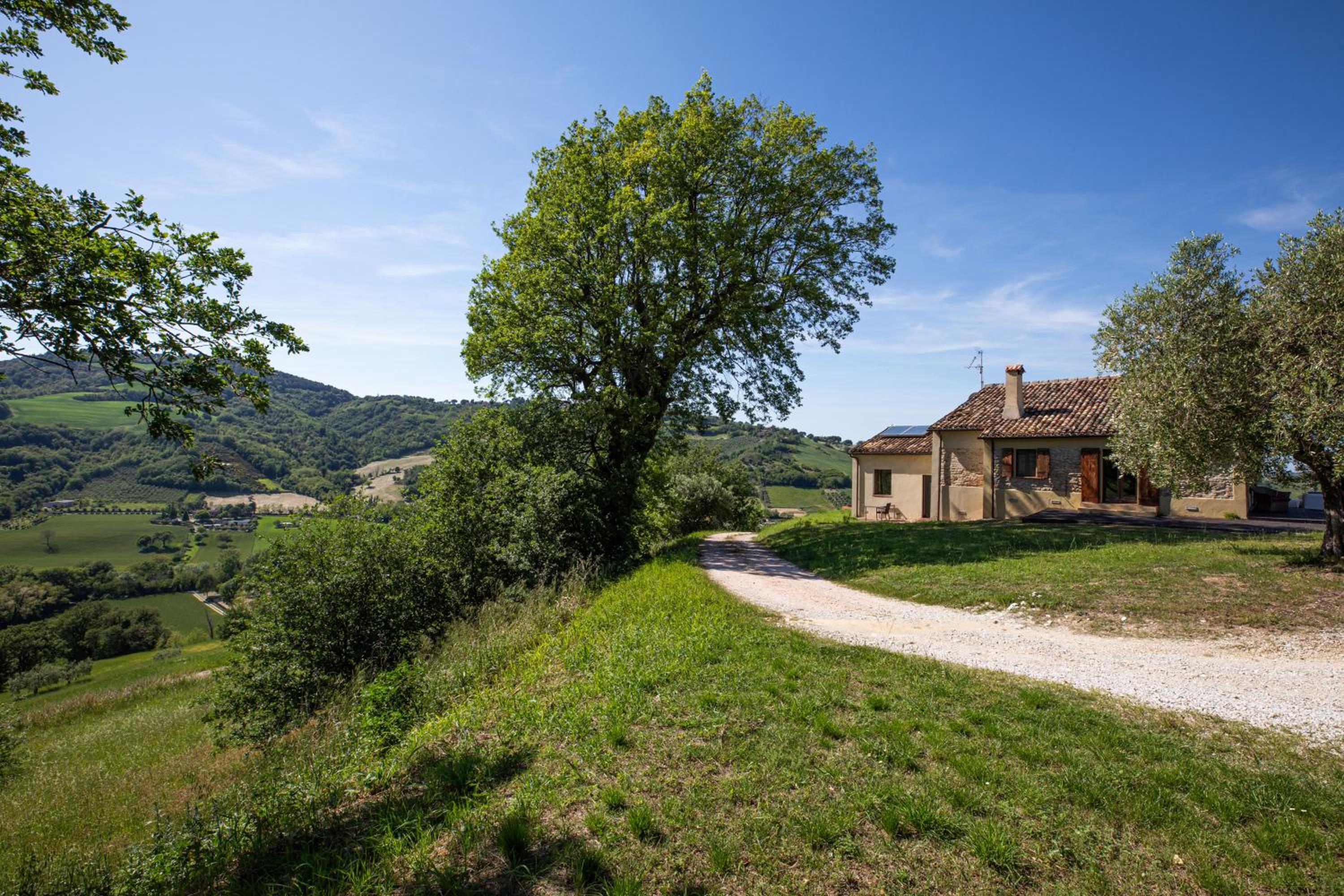 Villa dell`Arte by BarbarHouse view 5