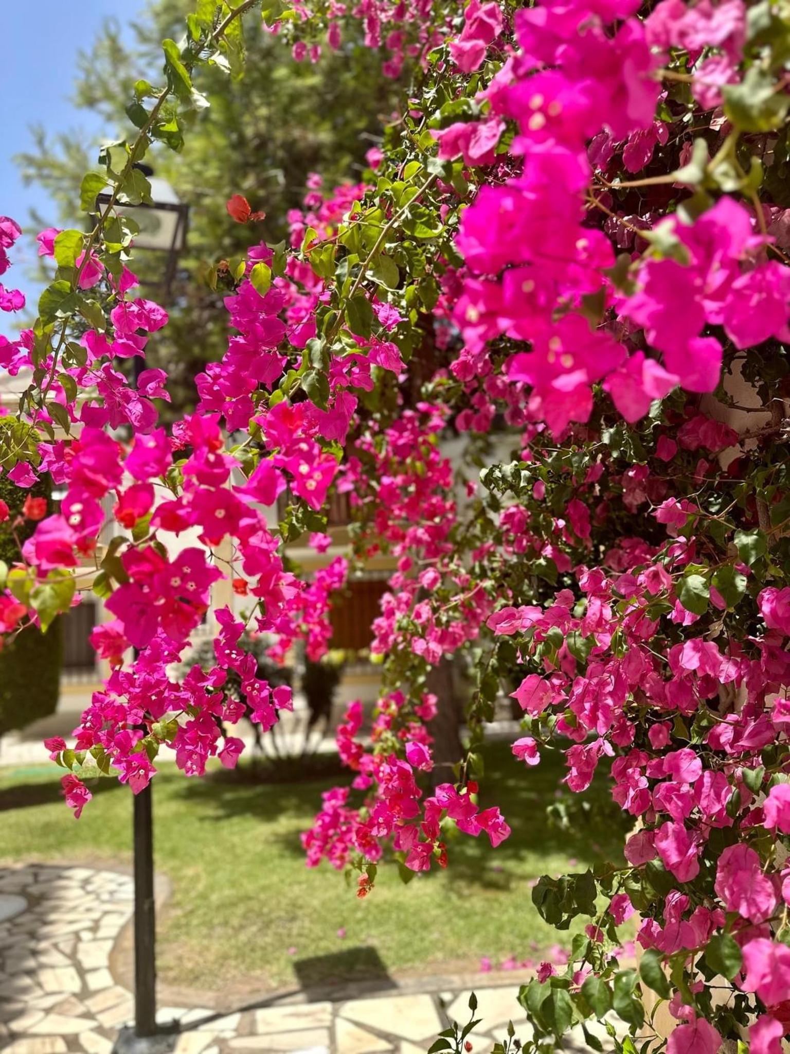Casa Veranera Vera Costa