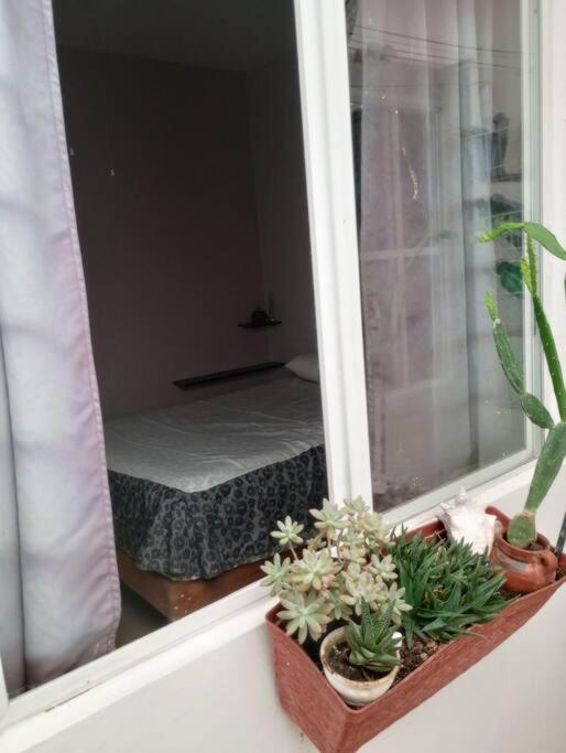 Departamento en Fraccionamiento