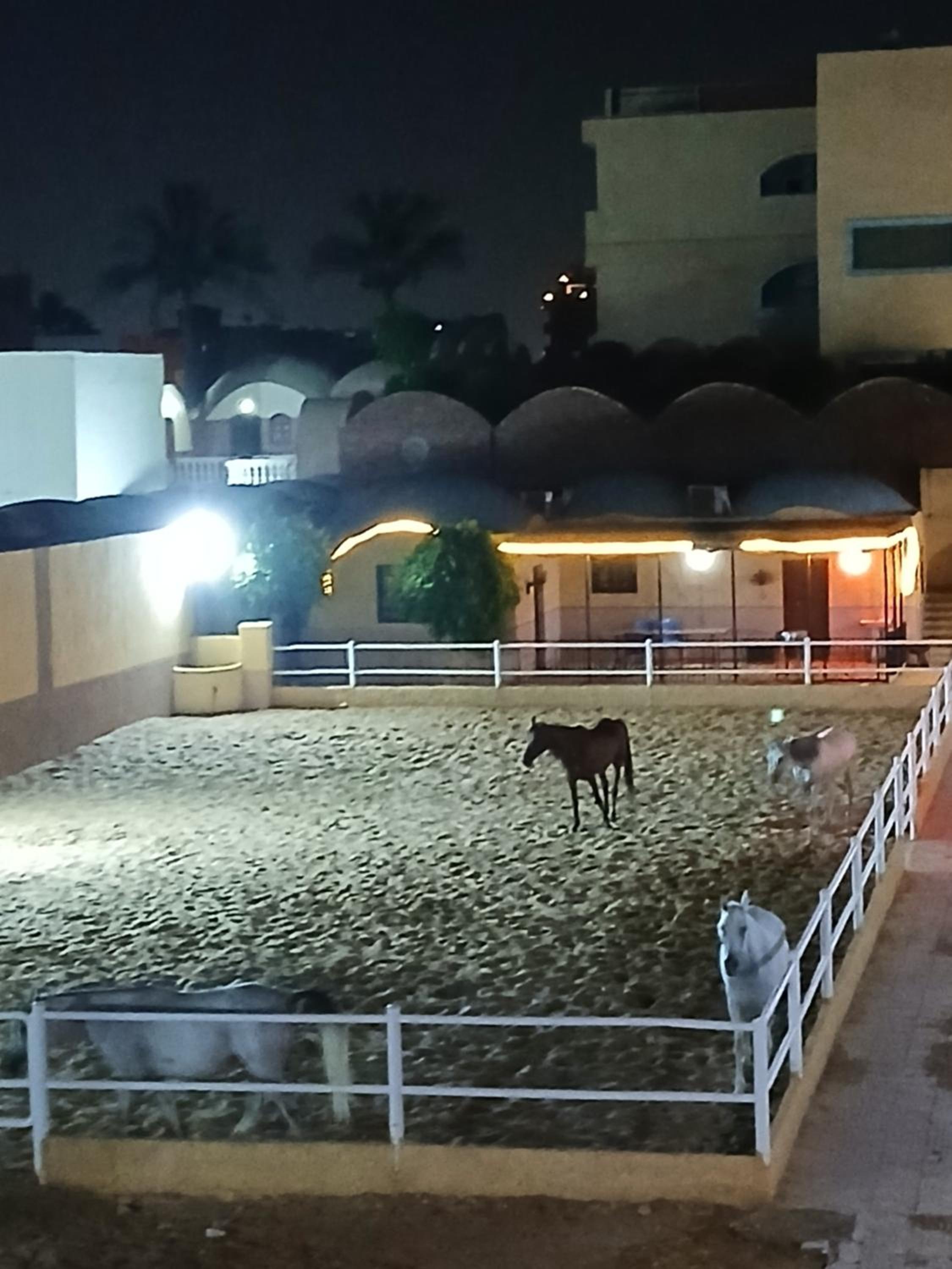 Eastern Oasis Motel & Horse Farm