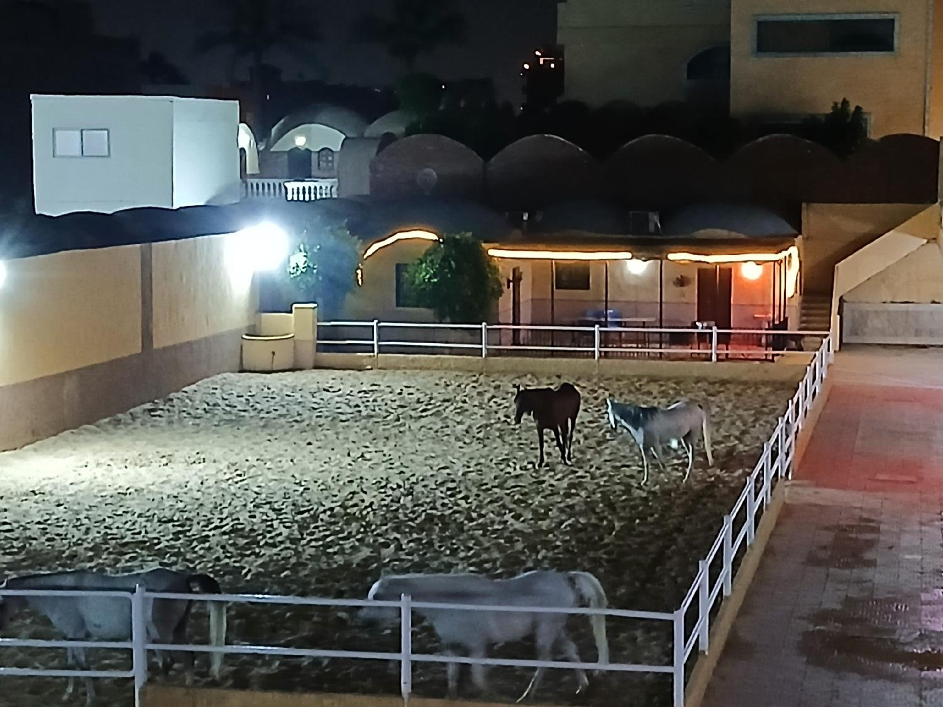 Eastern Oasis Motel & Horse Farm