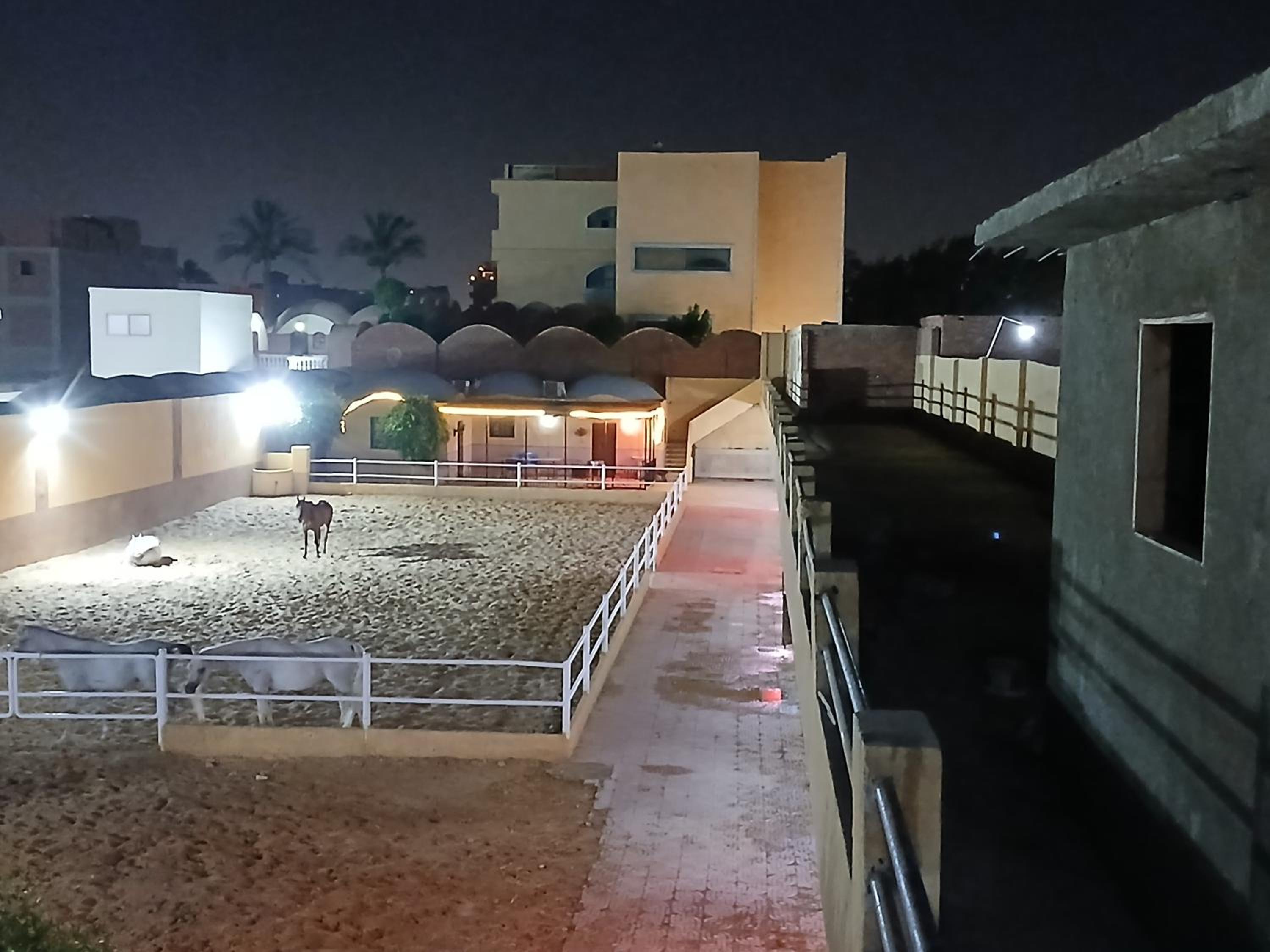 Eastern Oasis Motel & Horse Farm