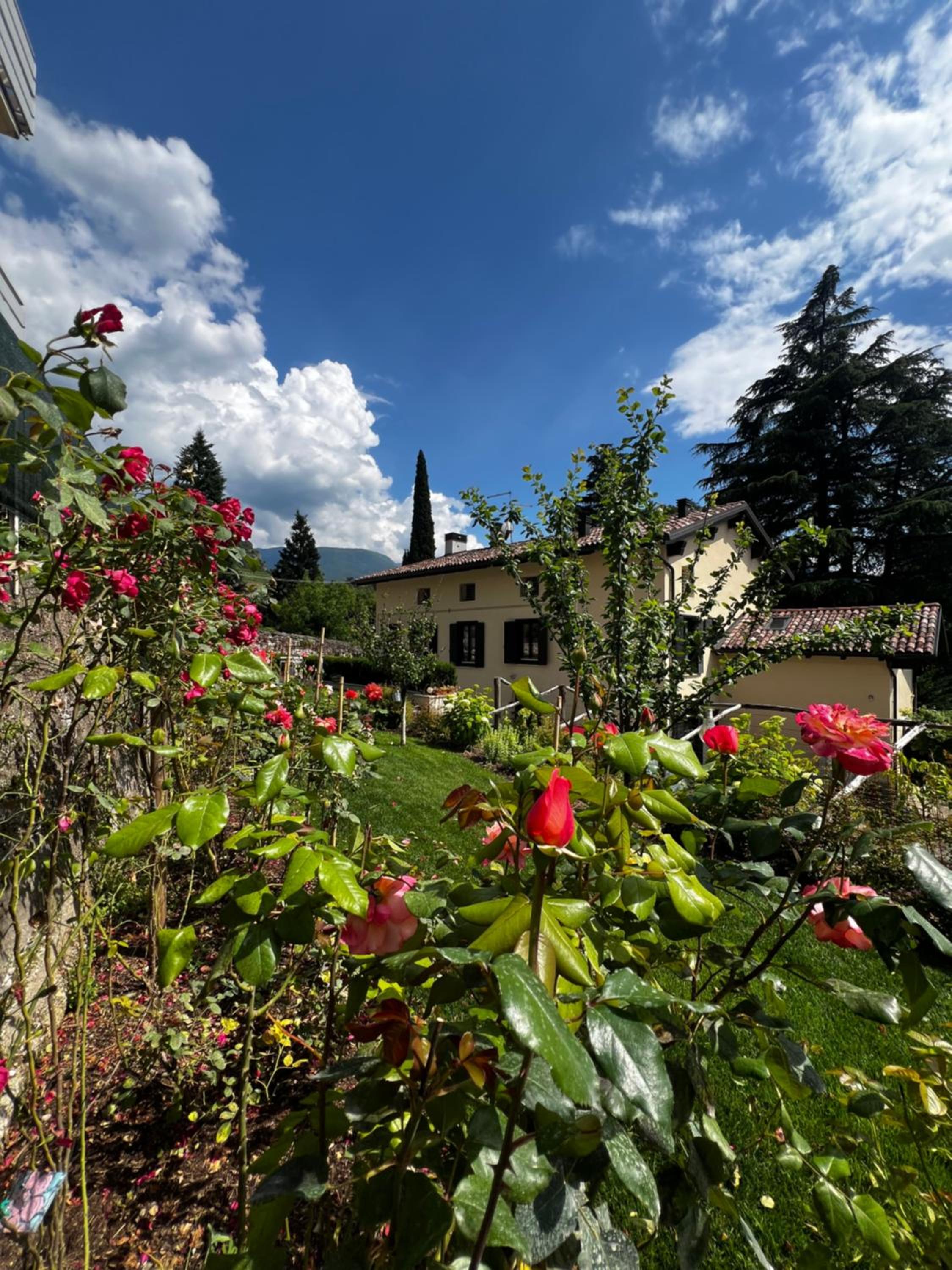 B&B Ca'rina photo 2