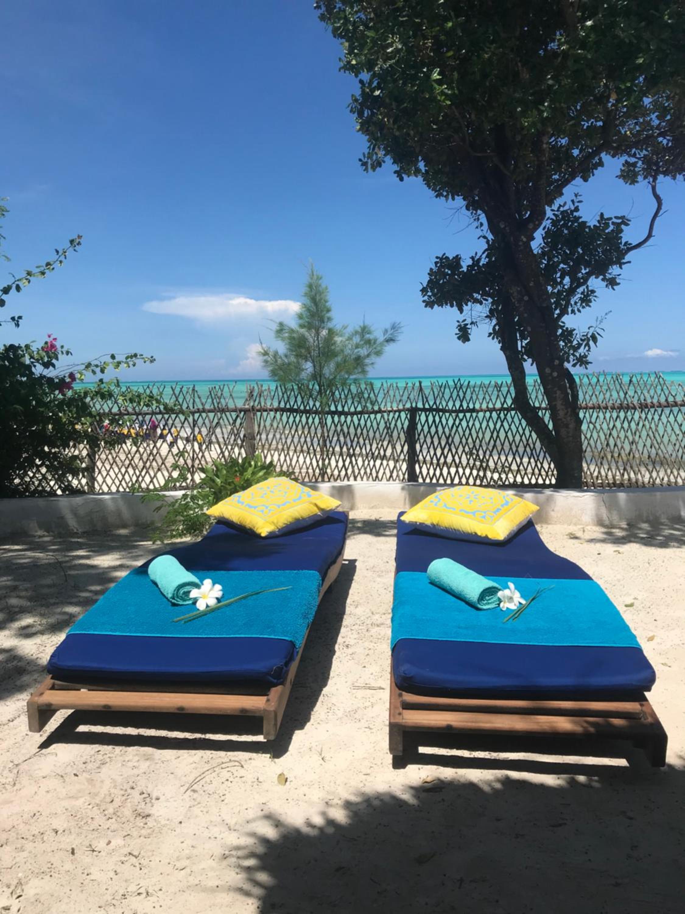 Paradies Garten direkt am Meer view 4