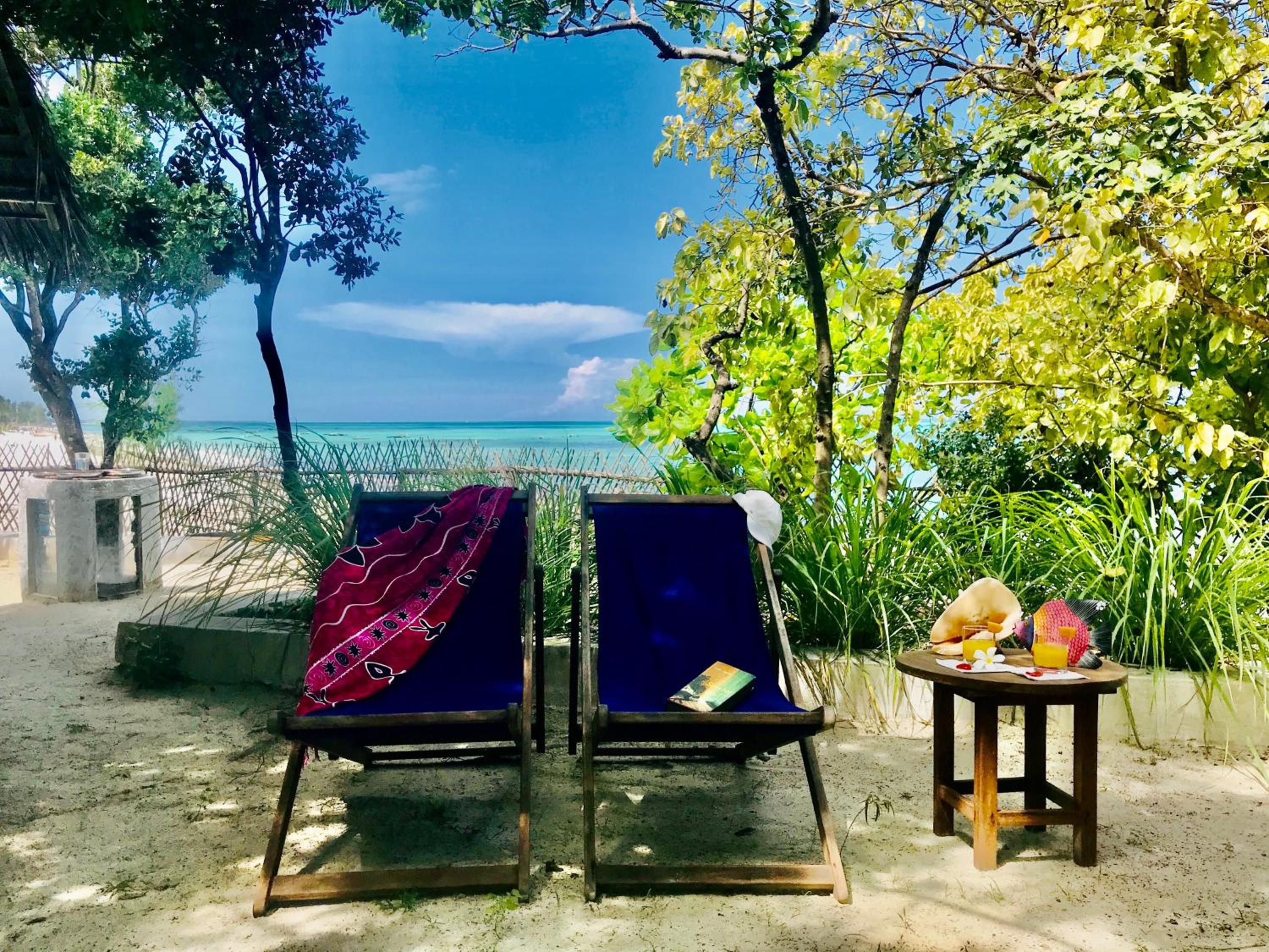 Paradies Garten direkt am Meer view 5