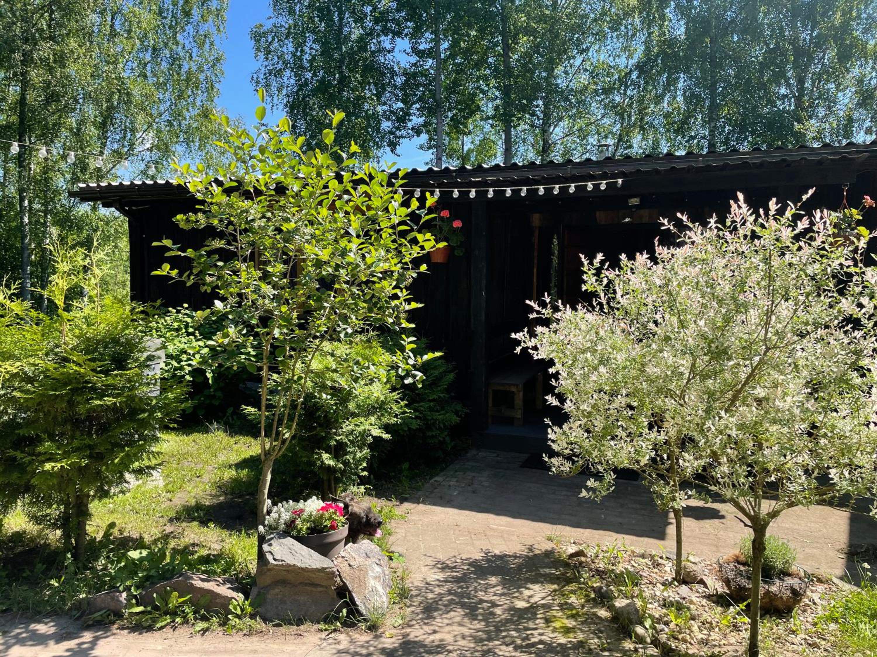 Upesciema Cottage view 4