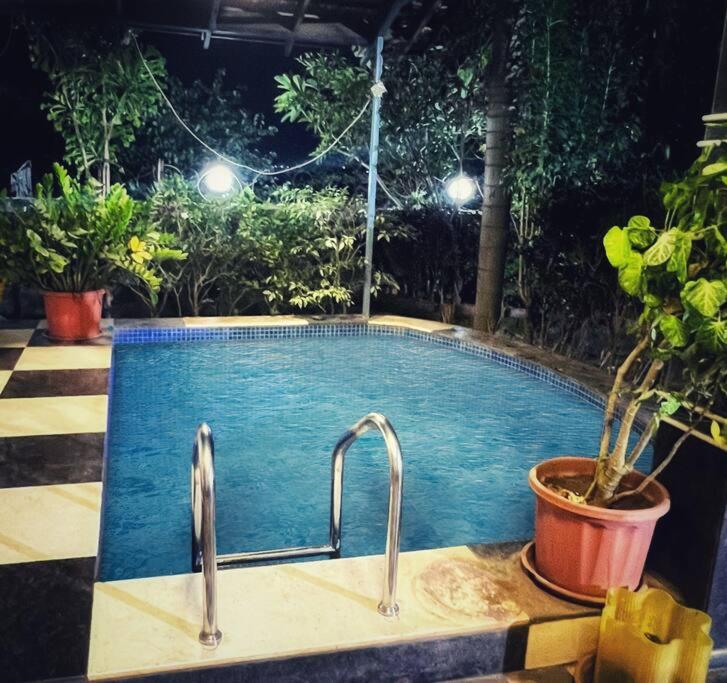 Zio Asmara- Peacefull terrace settings, Pool, BBQ view 2