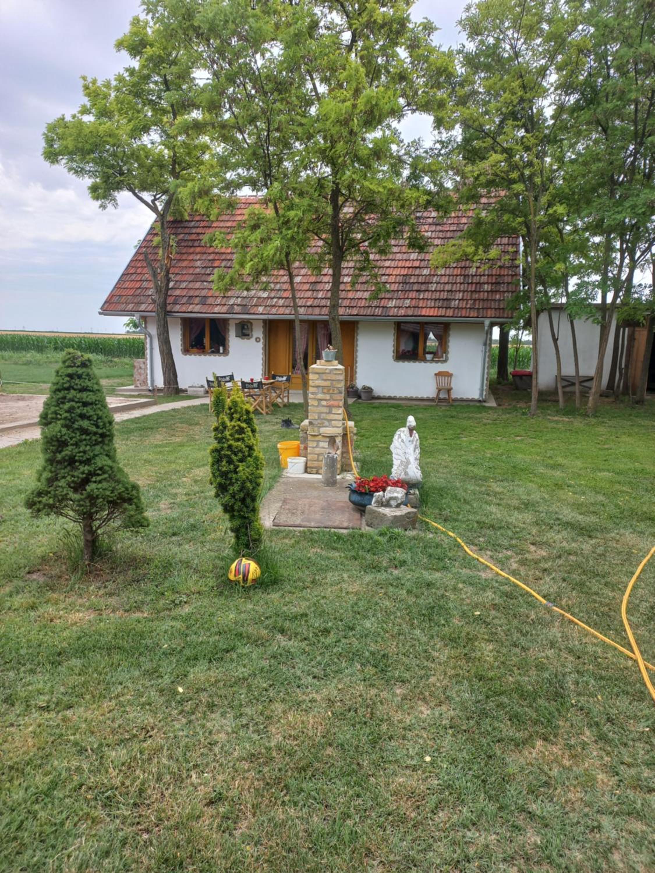 Photo 23