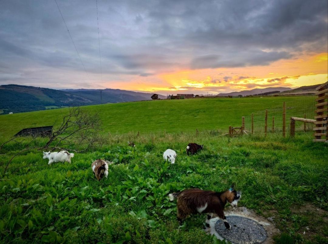 Tomnauld Farm