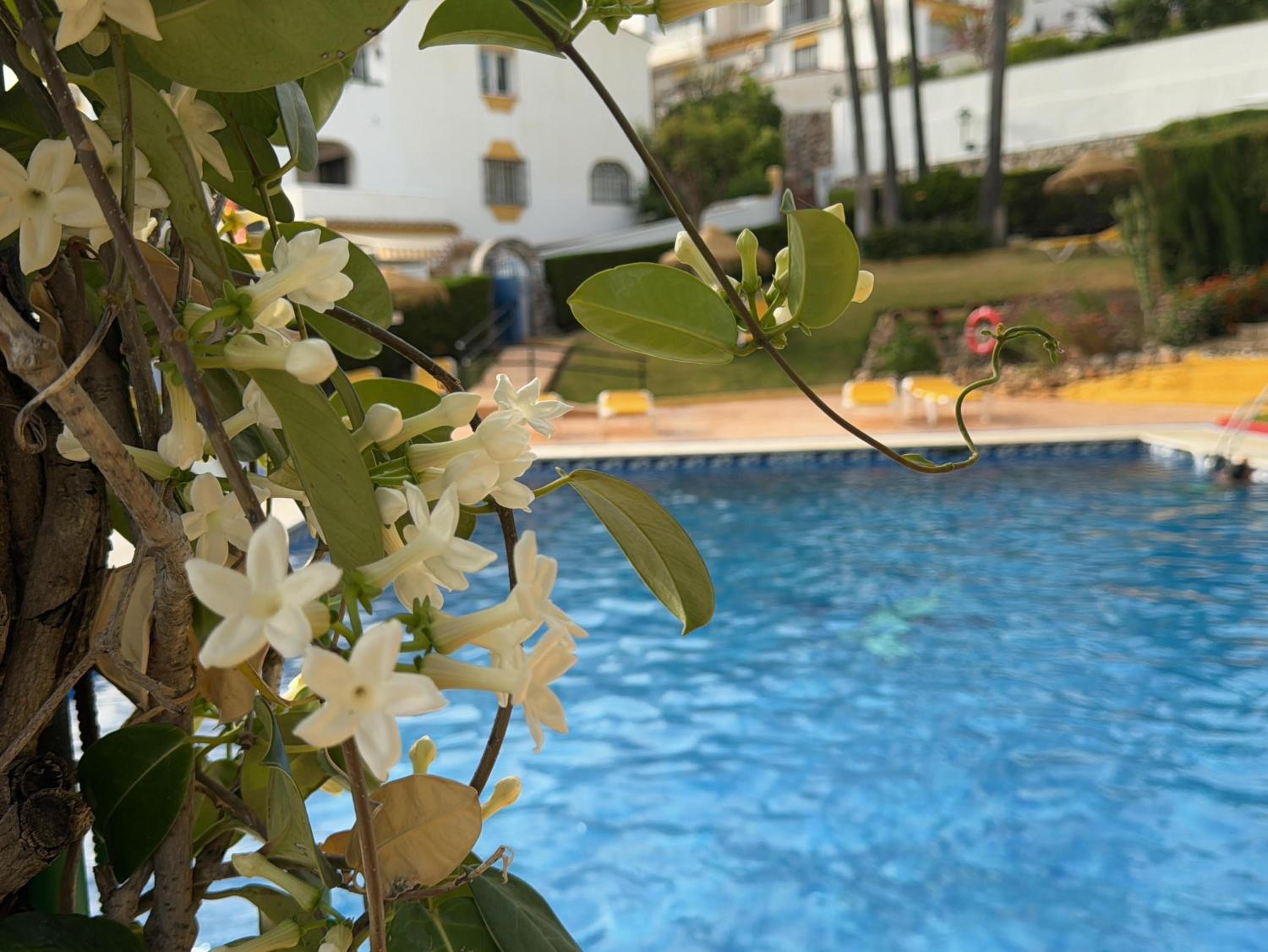 Summer Paradise in Benalmadena