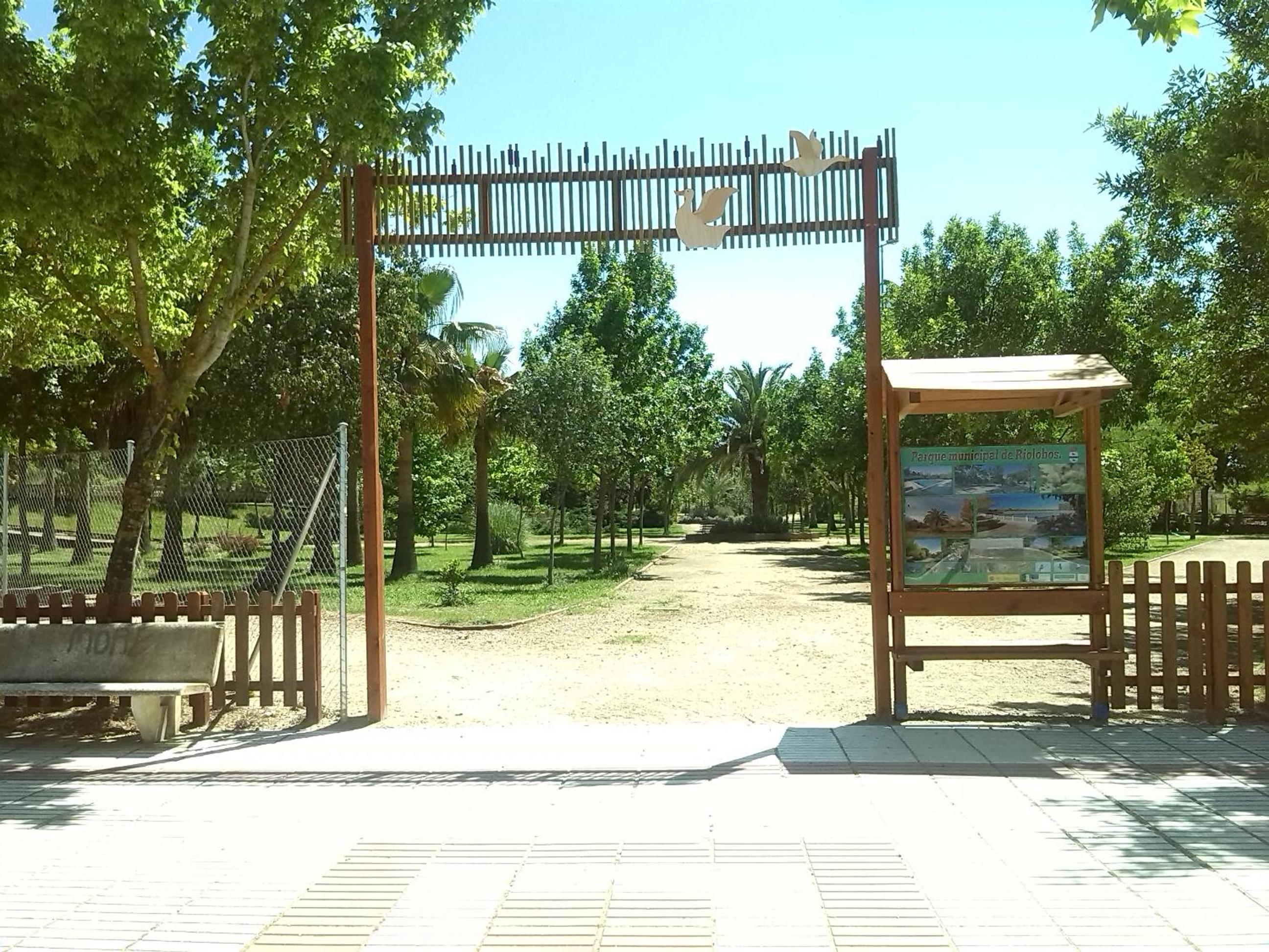Photo 9