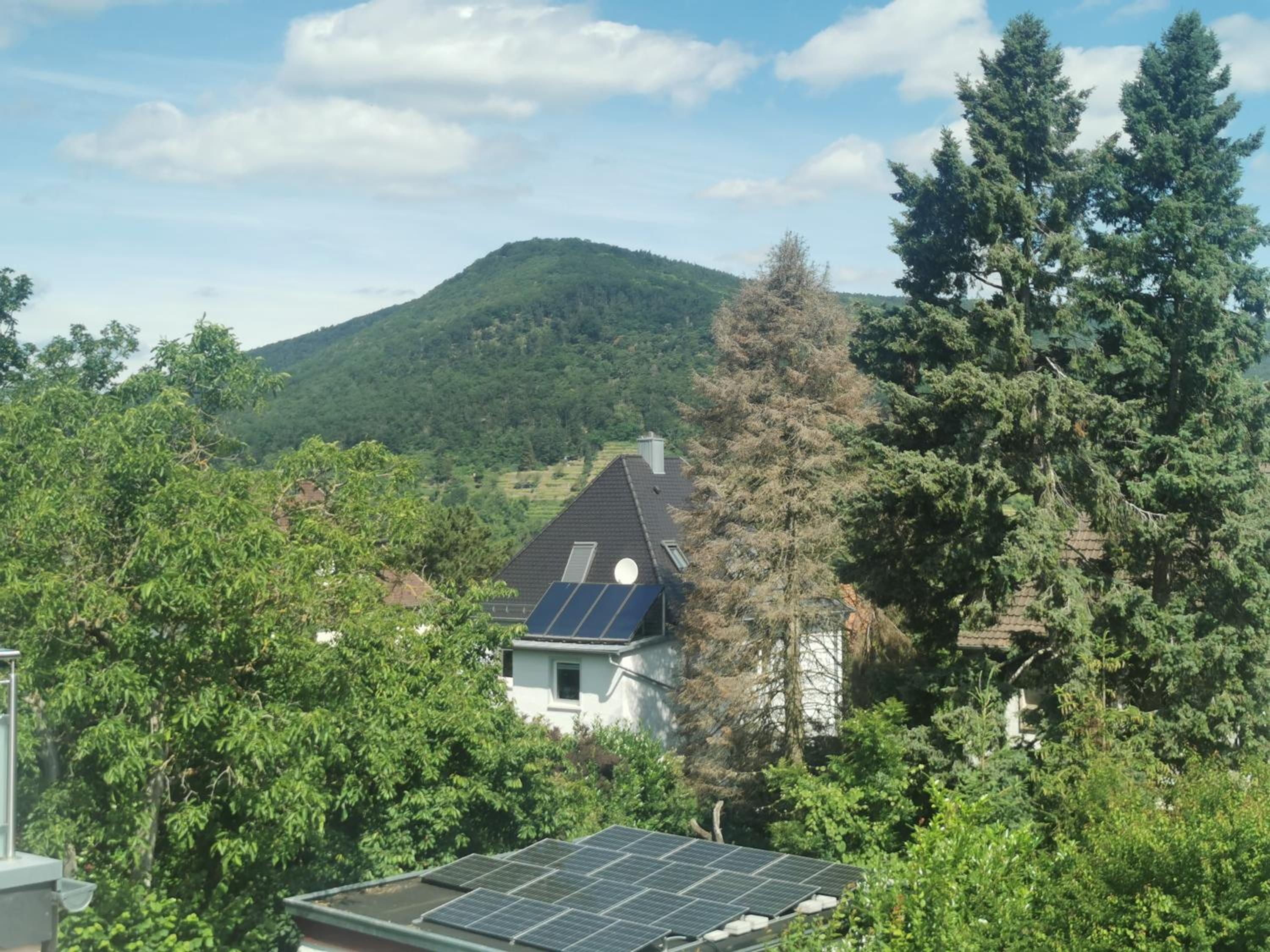 Ferienwohnung Bergblick