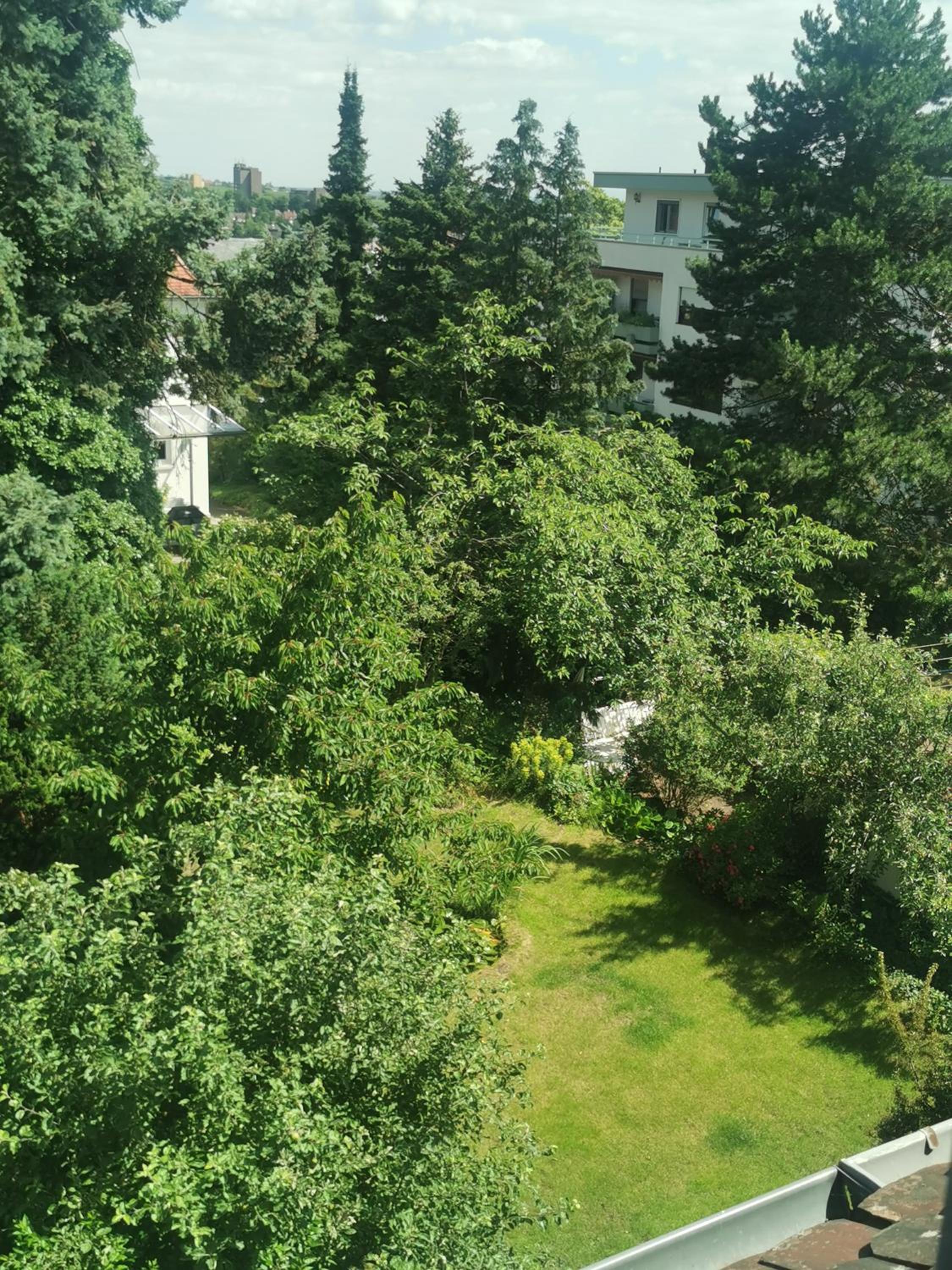 Ferienwohnung Bergblick