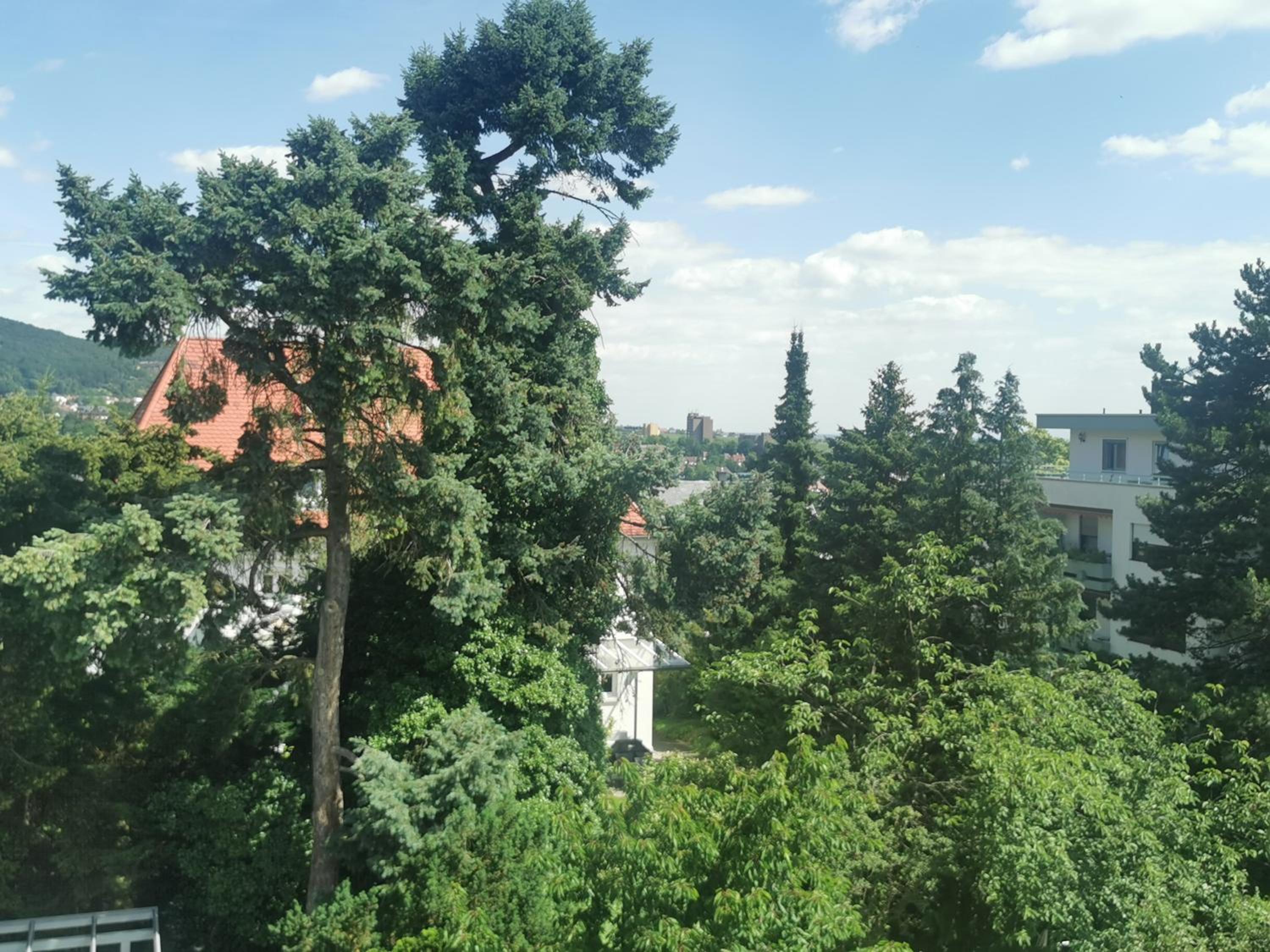 Ferienwohnung Bergblick