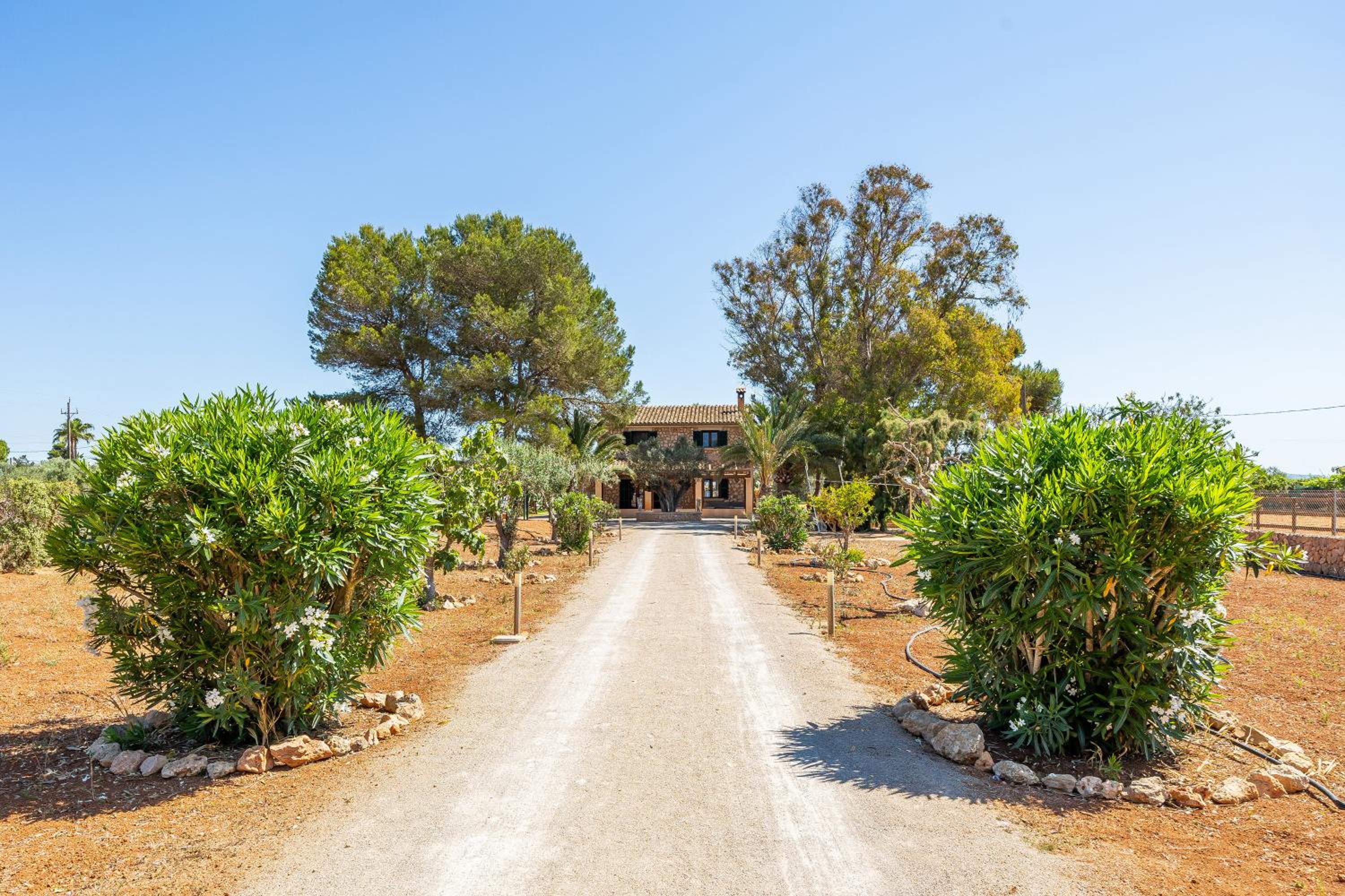Villa Angela