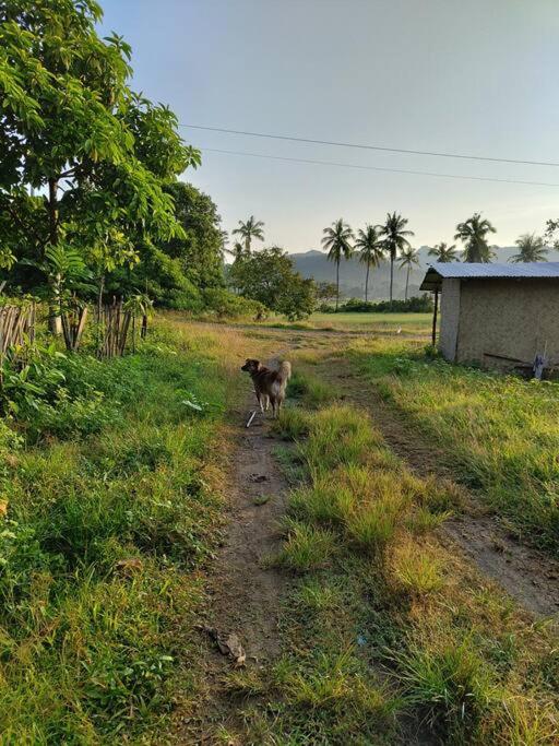 Balai Dulilit Entire Vacation Home with Free All Terrain Vehicle view 3