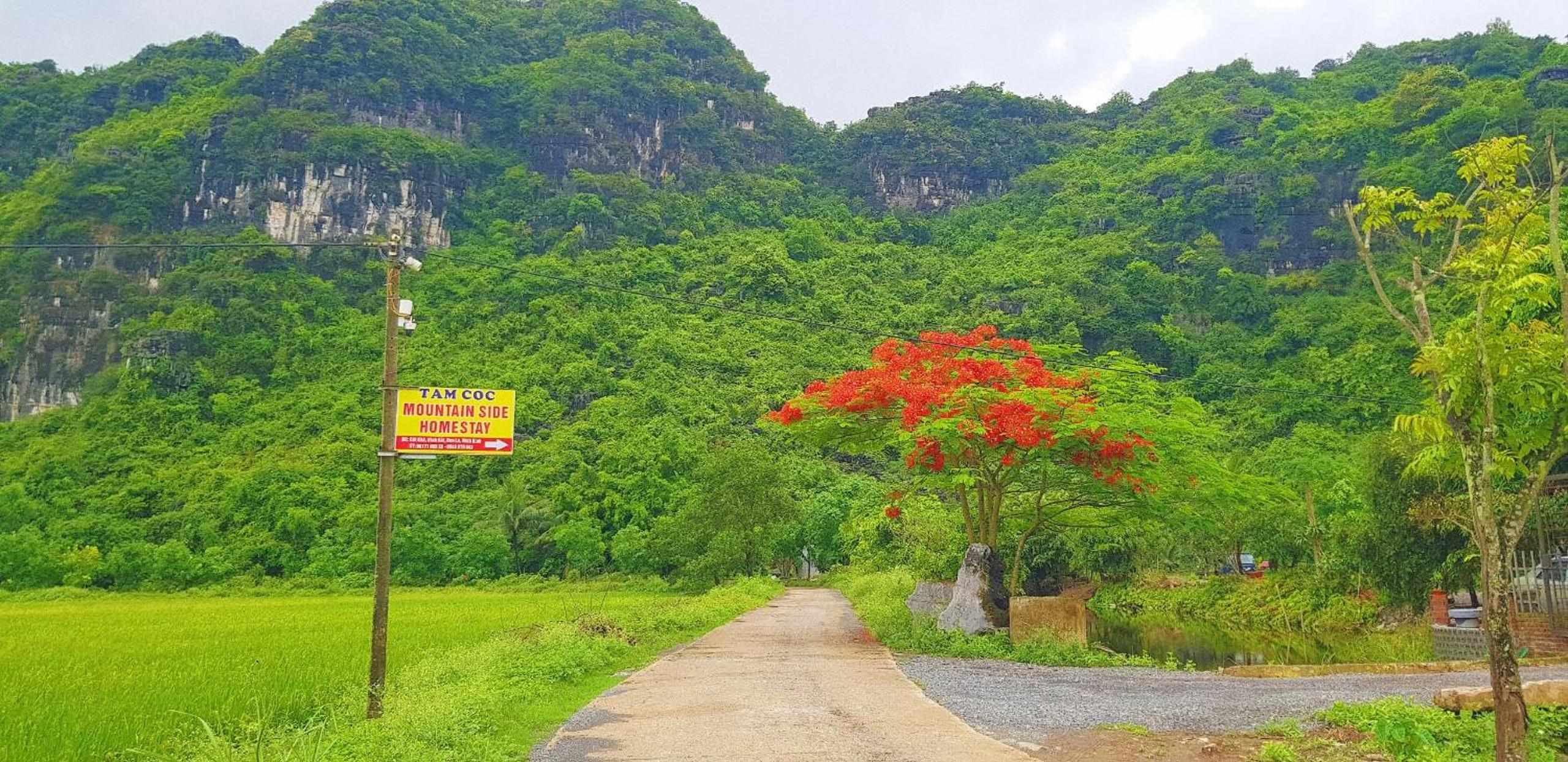 Tam Coc Moutainside Homestay view 5