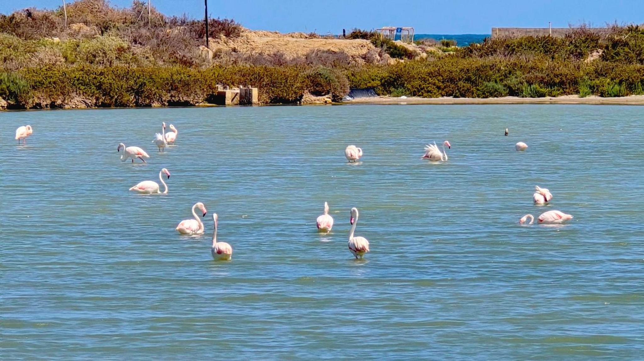 APARTAMENT BERGANTIN 30 Torrevieja