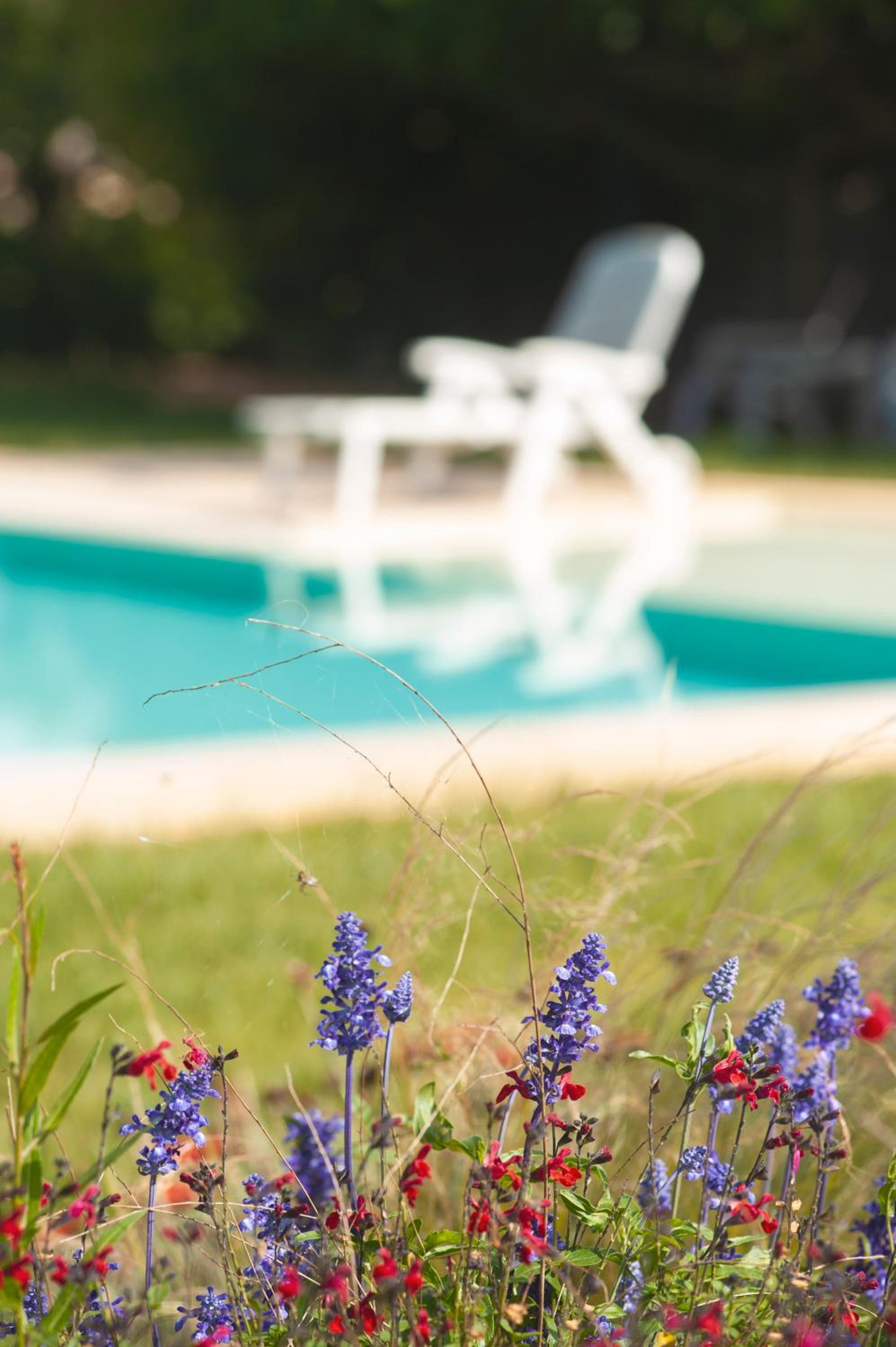 Agriturismo Masseria Calongo
