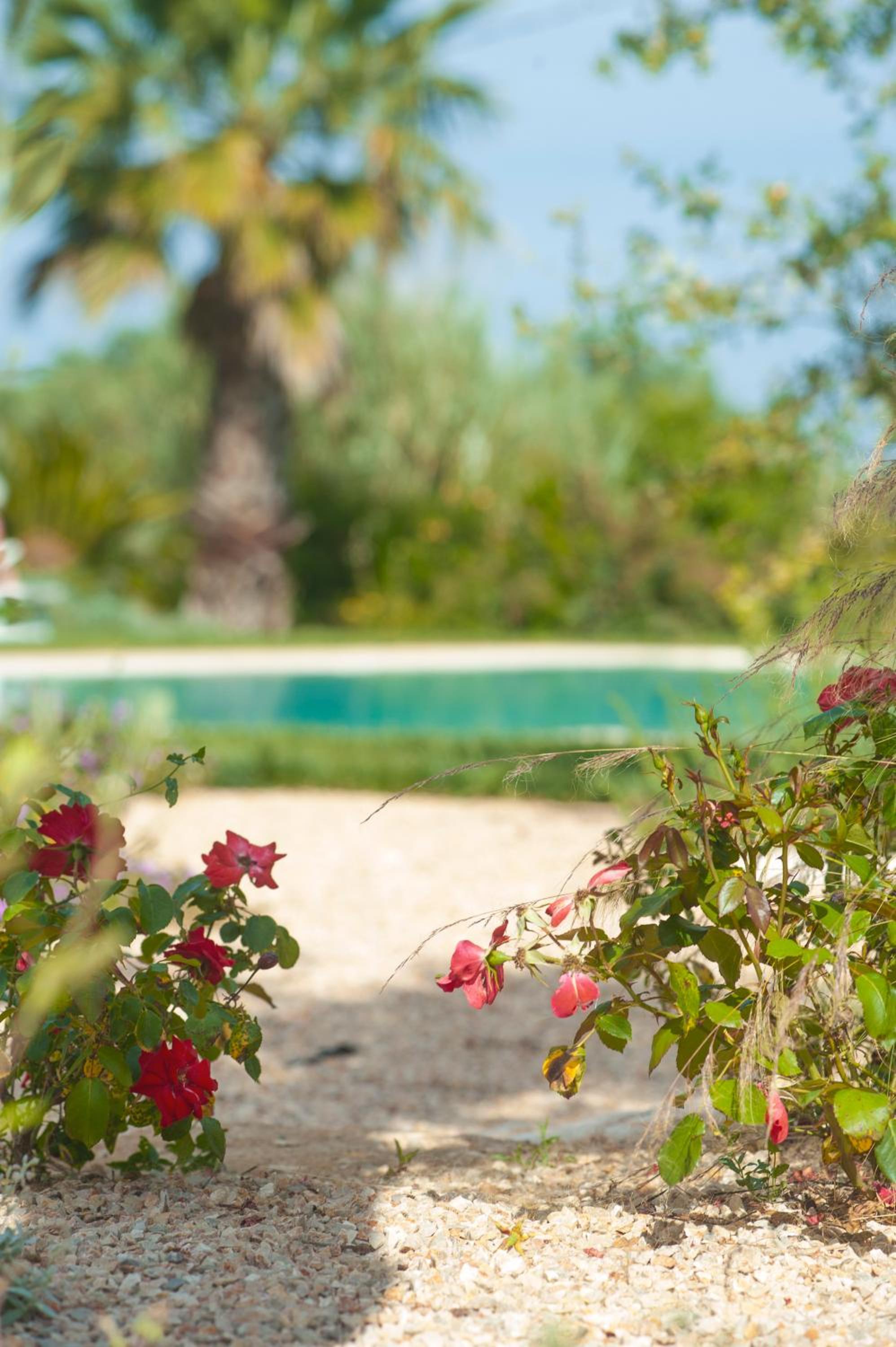 Agriturismo Masseria Calongo
