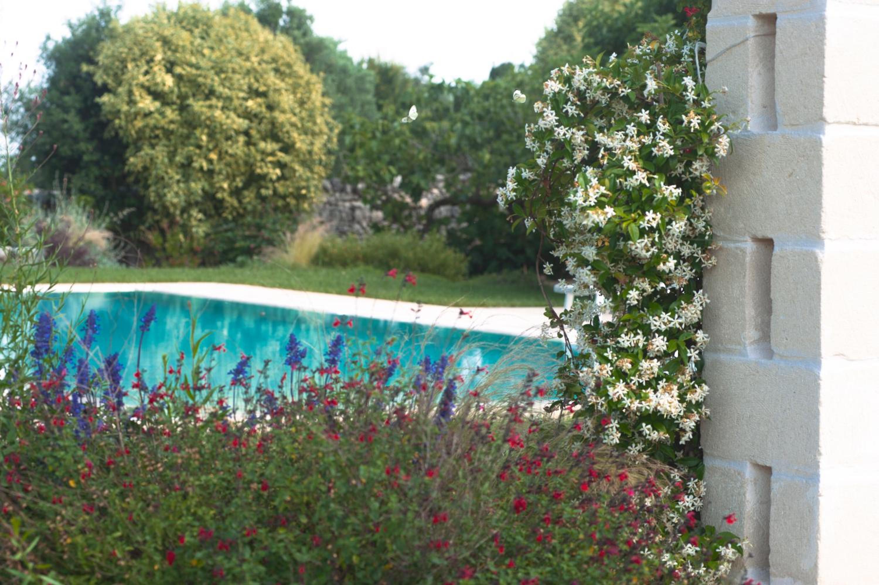 Agriturismo Masseria Calongo