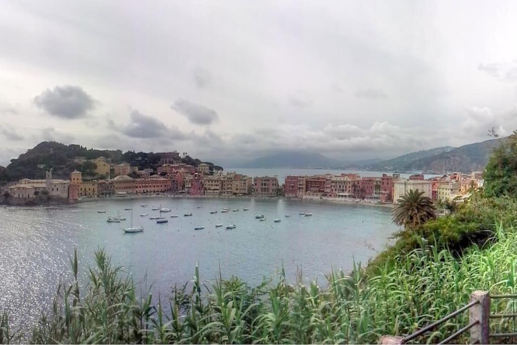 Microcasa strategica cinque Terre e Portofino view 3