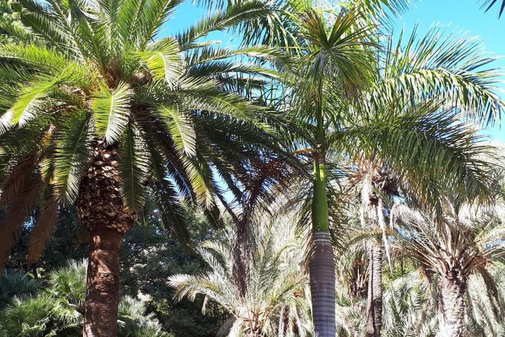 Studio type Loft Malaga gare de trains et plage