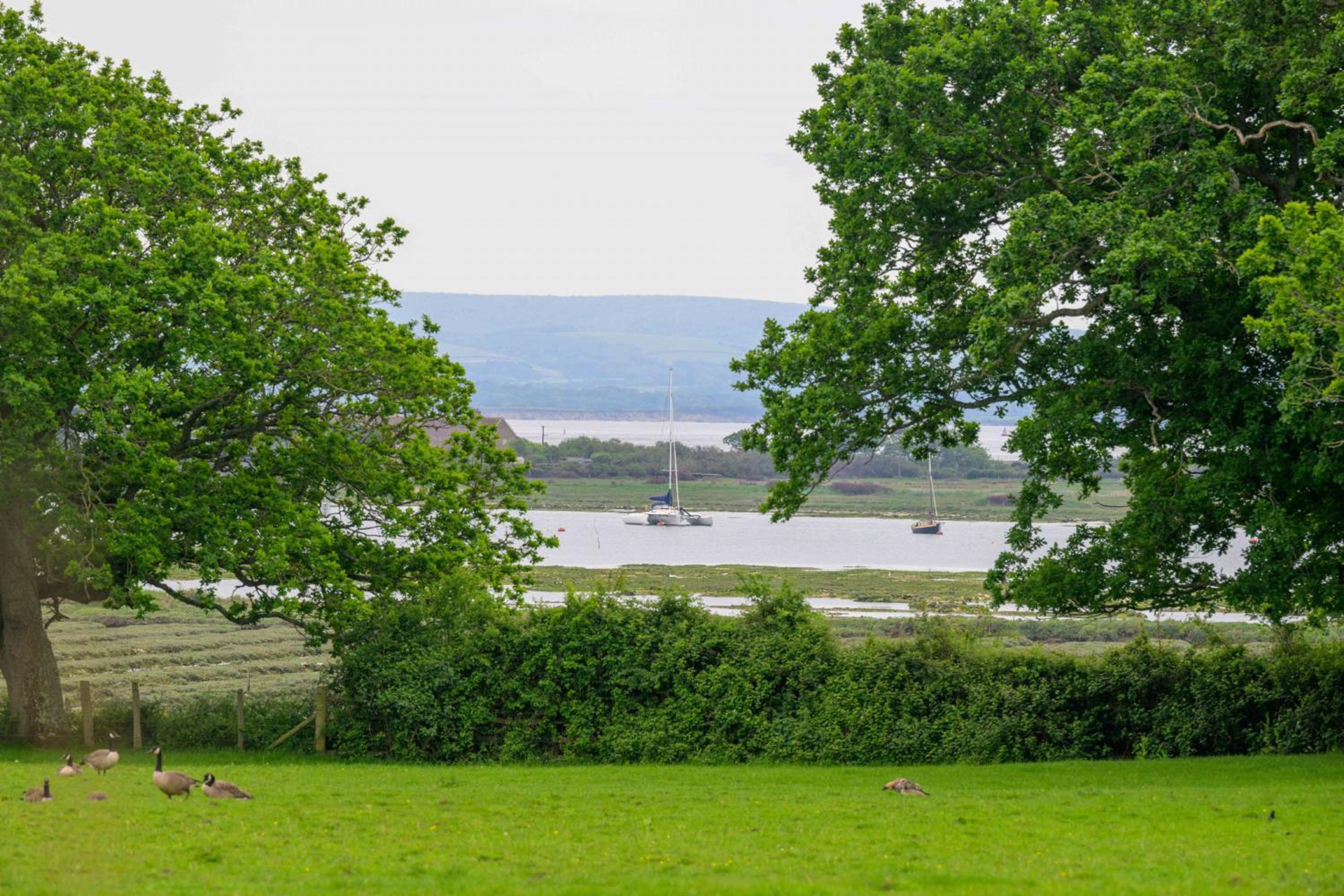 Moo Cottage view 3
