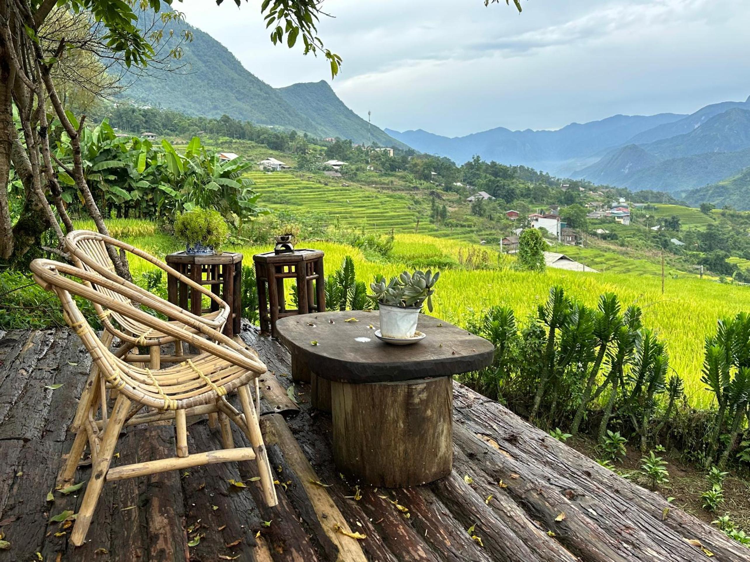 Photo 87