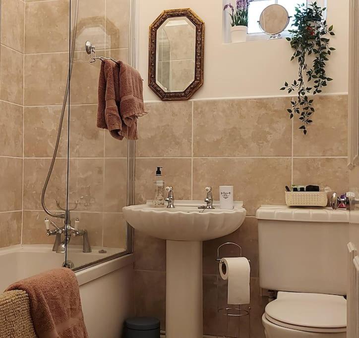 Old library apartment