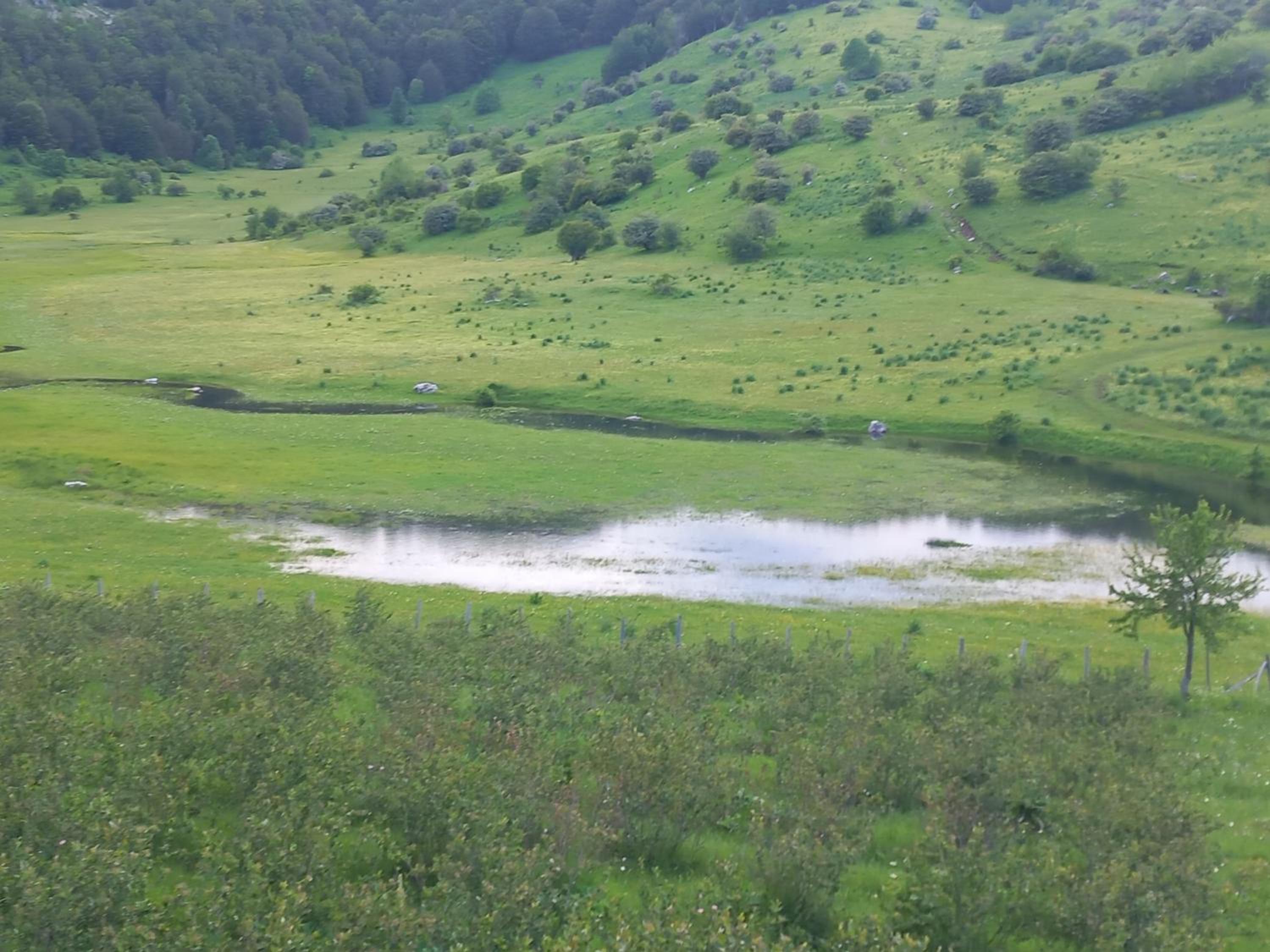 Jezerca Wild Beauty view 3