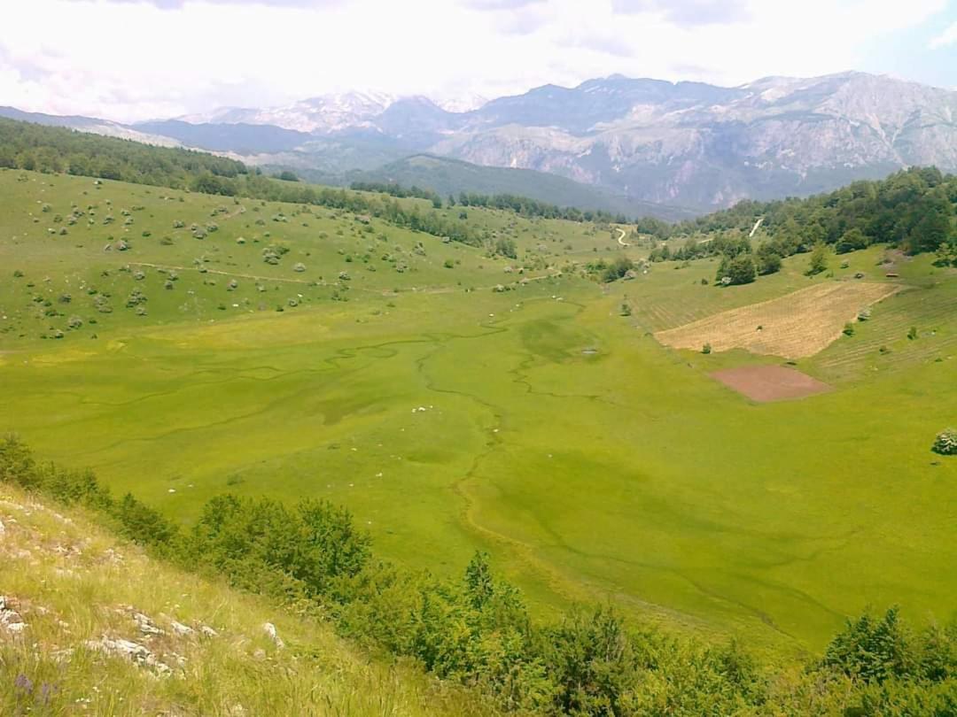 Jezerca Wild Beauty view 5
