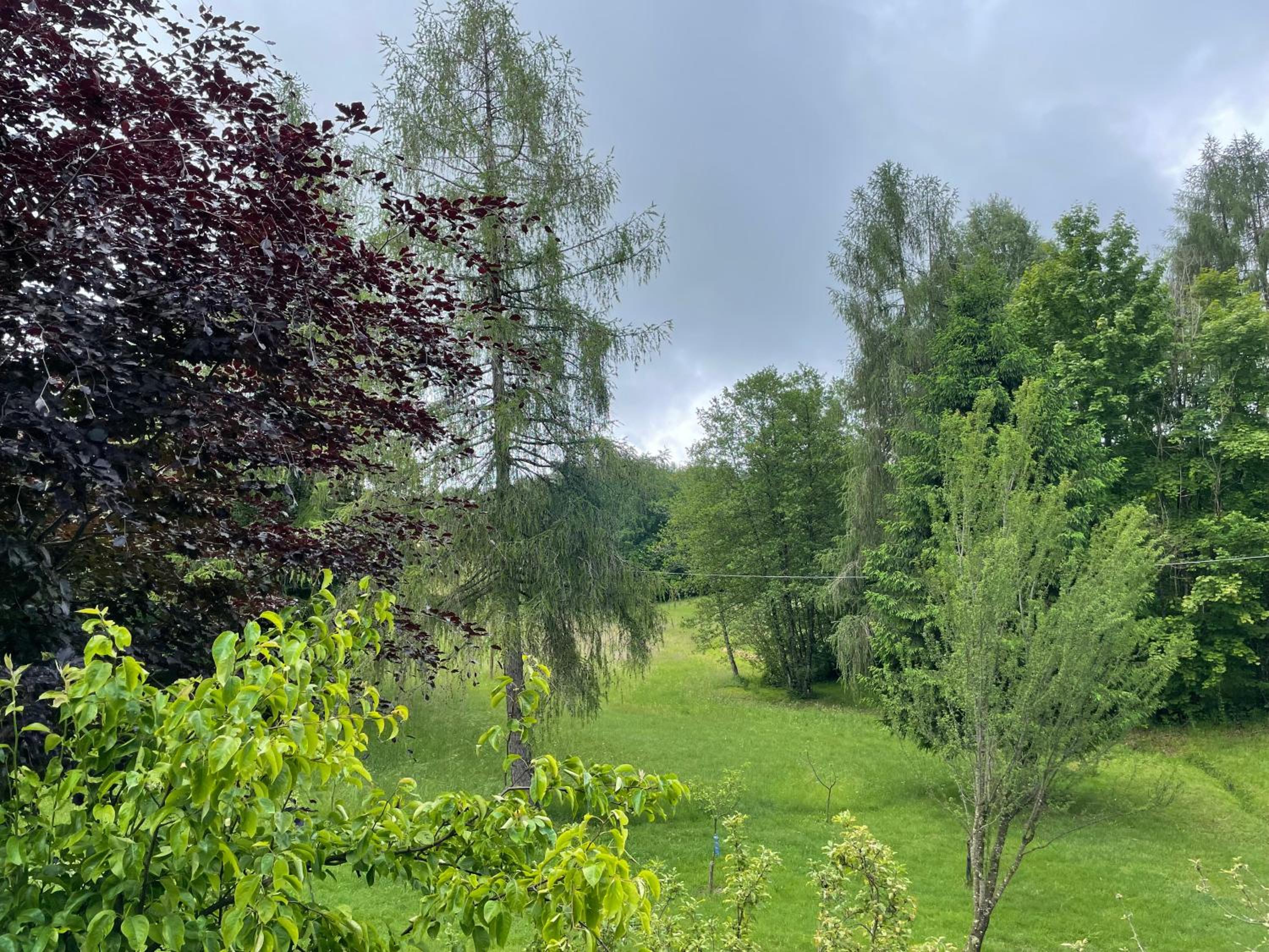 Gino's house view 5