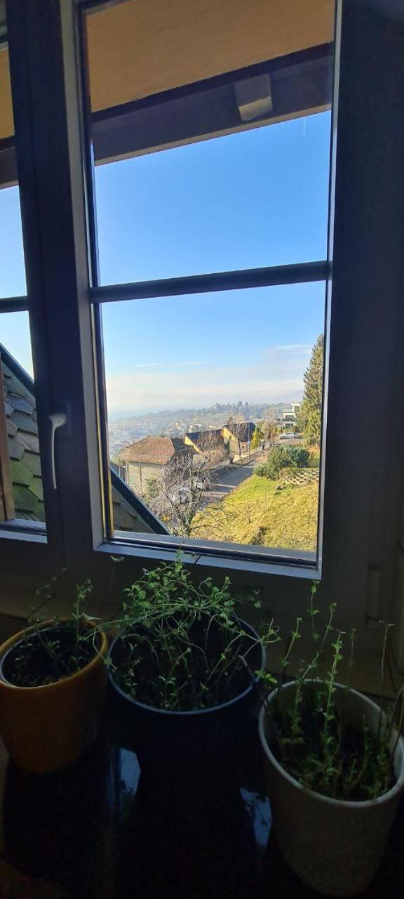 BEST Panoramic View, Swiss Authenticity 1-9 Guests