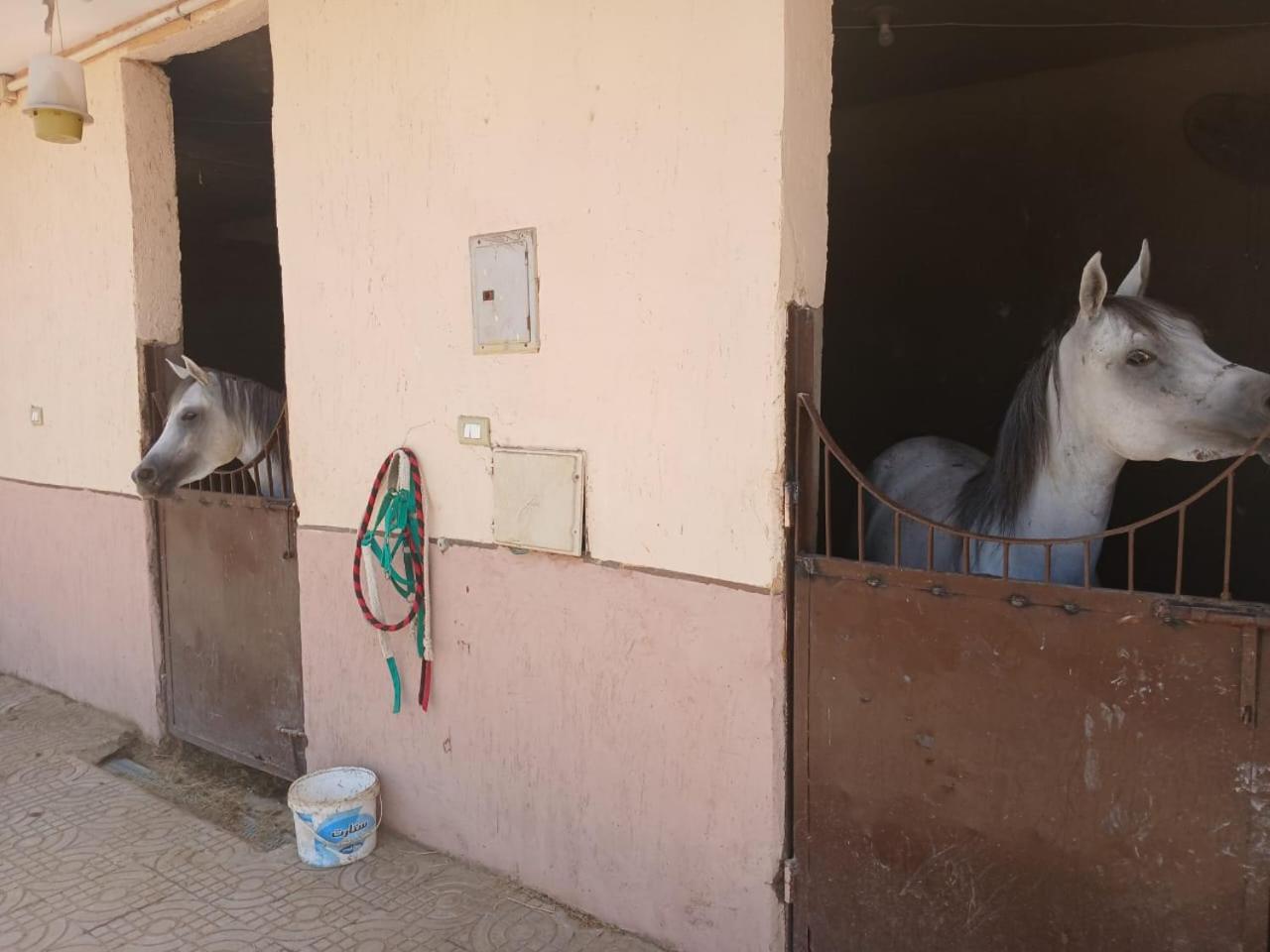 Eastern Oasis Motel & Horse Farm