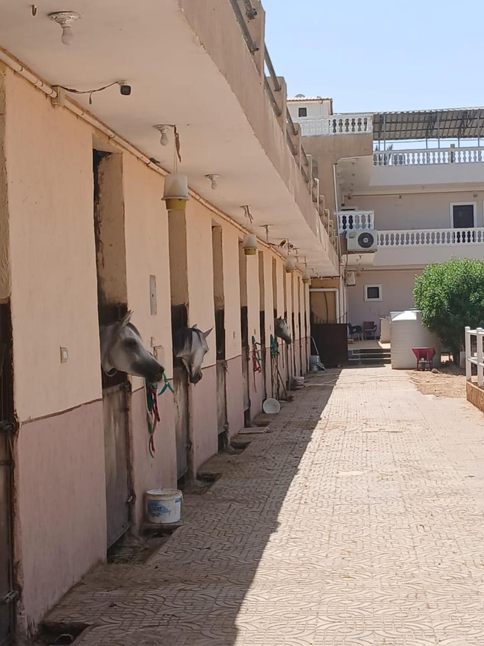Eastern Oasis Motel & Horse Farm