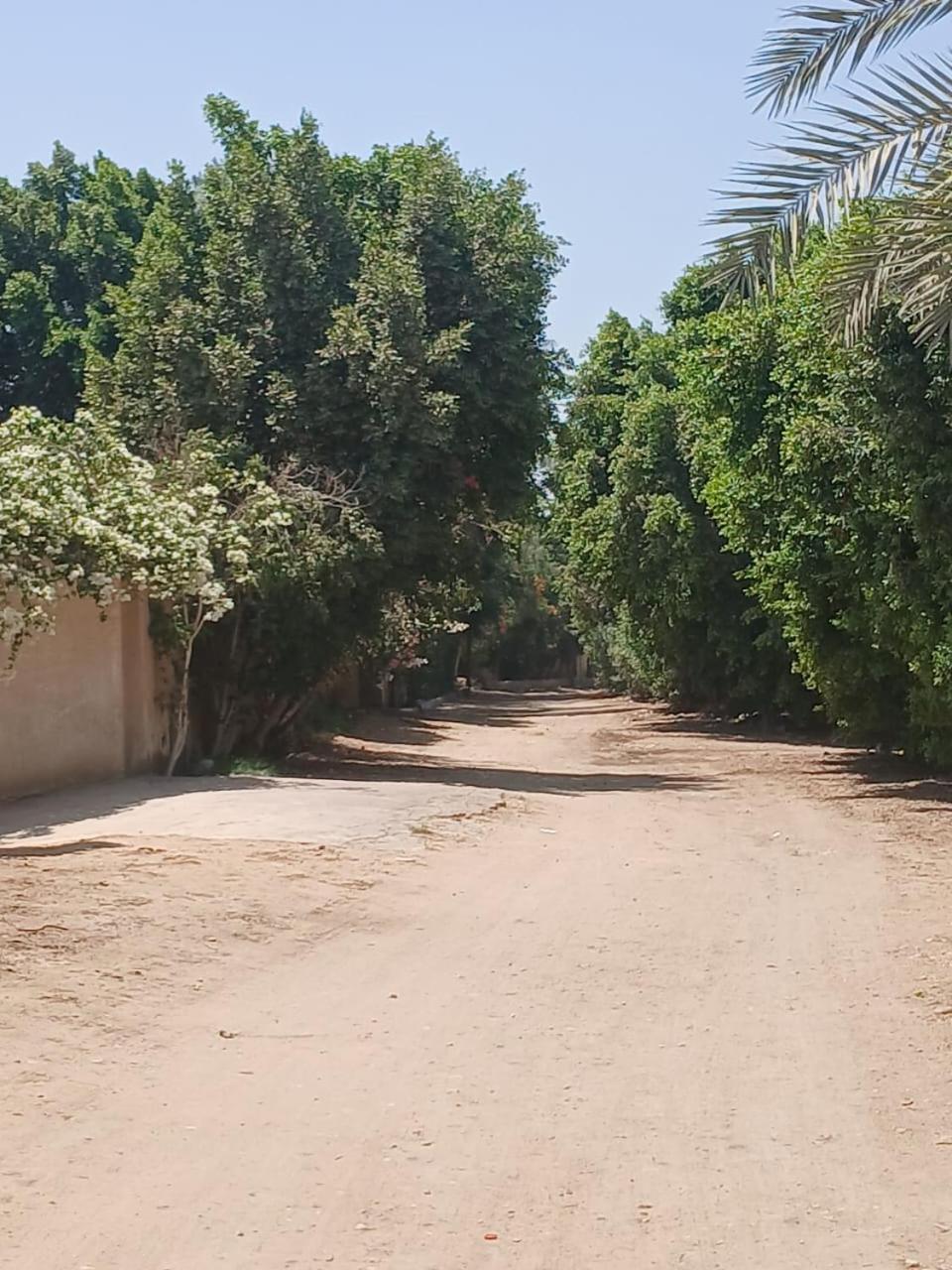 Eastern Oasis Motel & Horse Farm