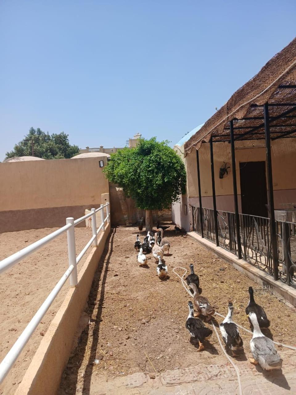 Eastern Oasis Motel & Horse Farm